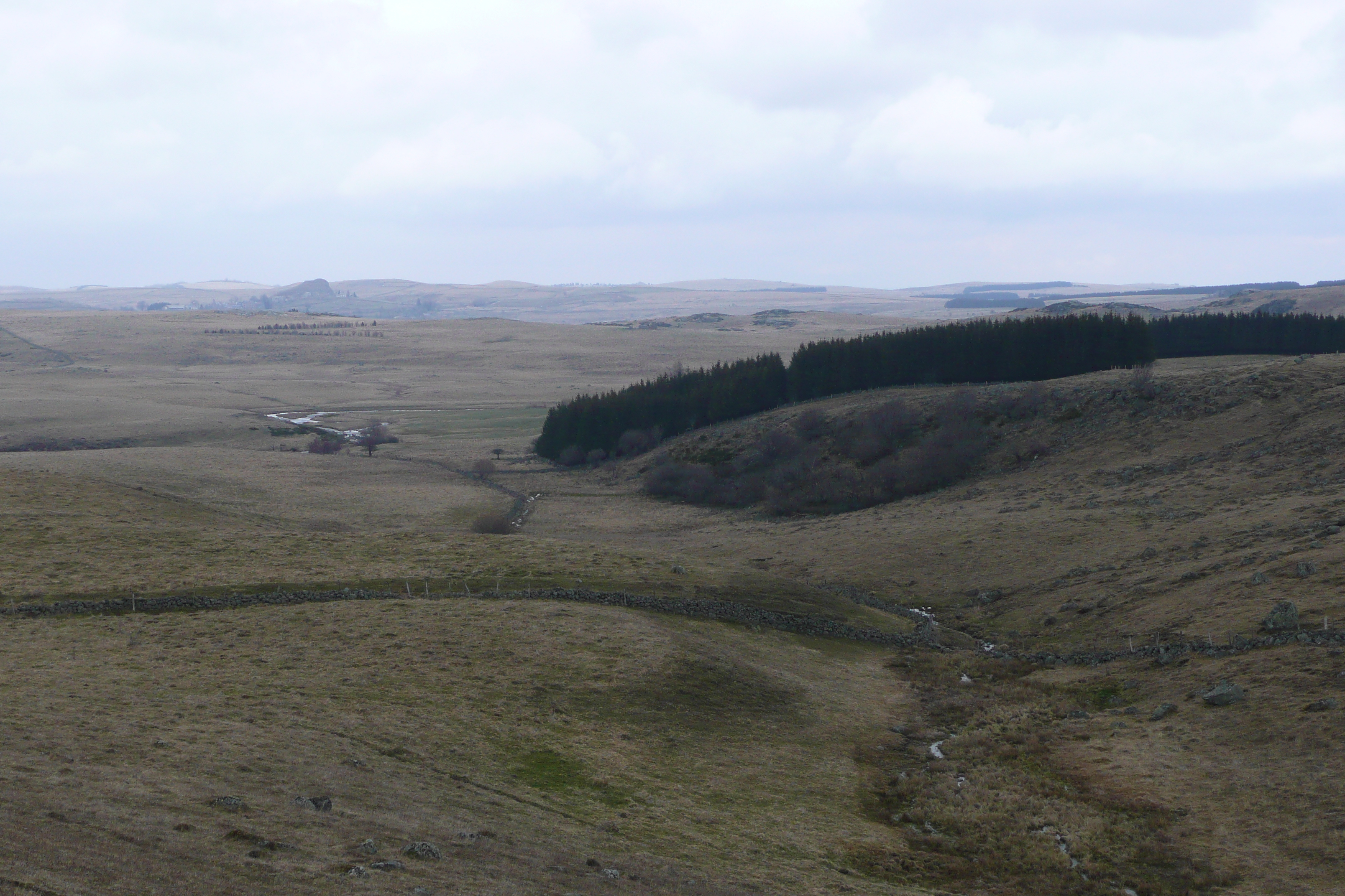 รูปถ่าย ฝรั่งเศส(France) โอบรัก(L'Aubrac) 2008-04 101