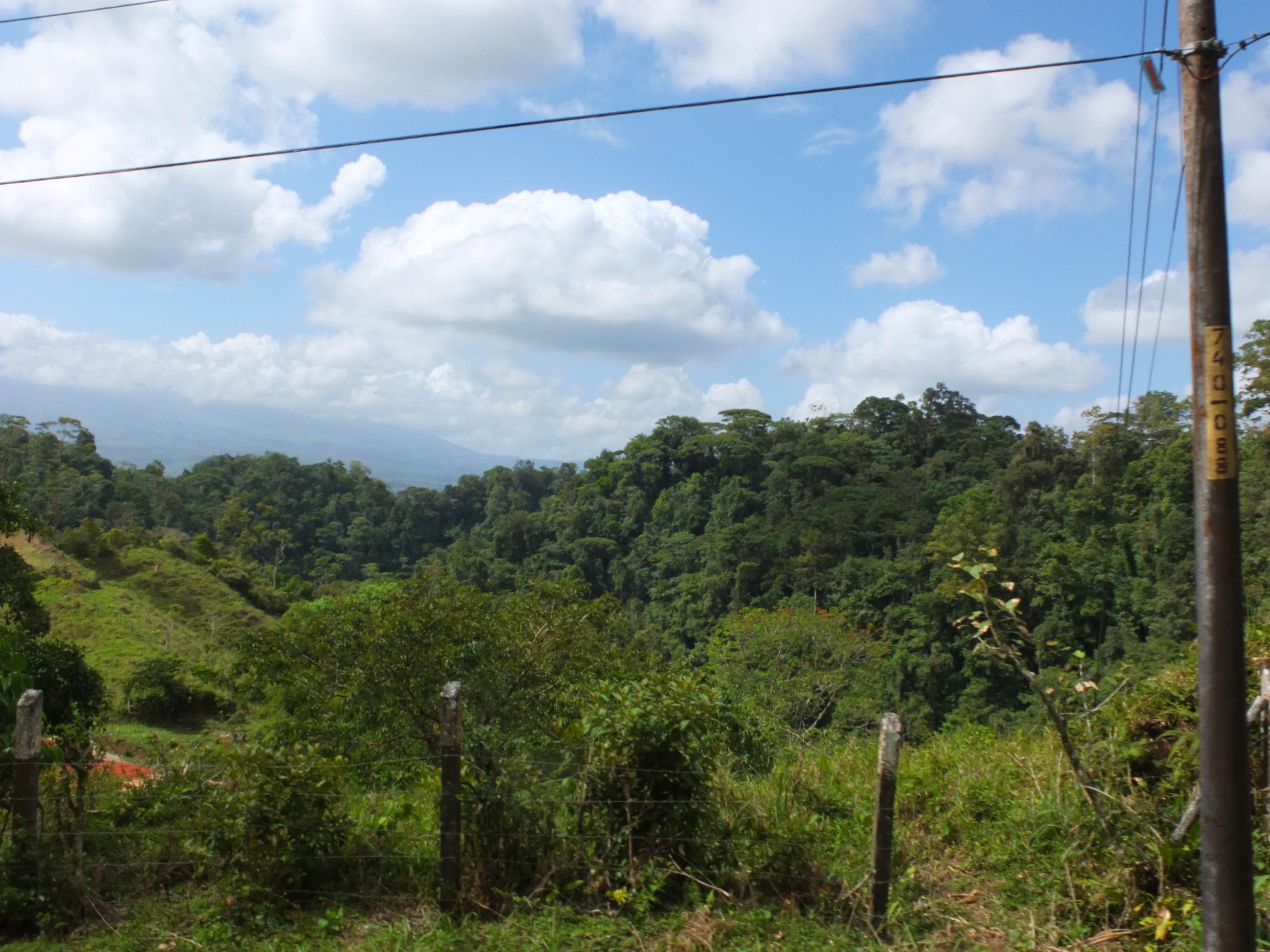รูปถ่าย คอสตาริกา(Costa Rica) ตูร์รีอัลบา(Turrialba) 2015-03 6