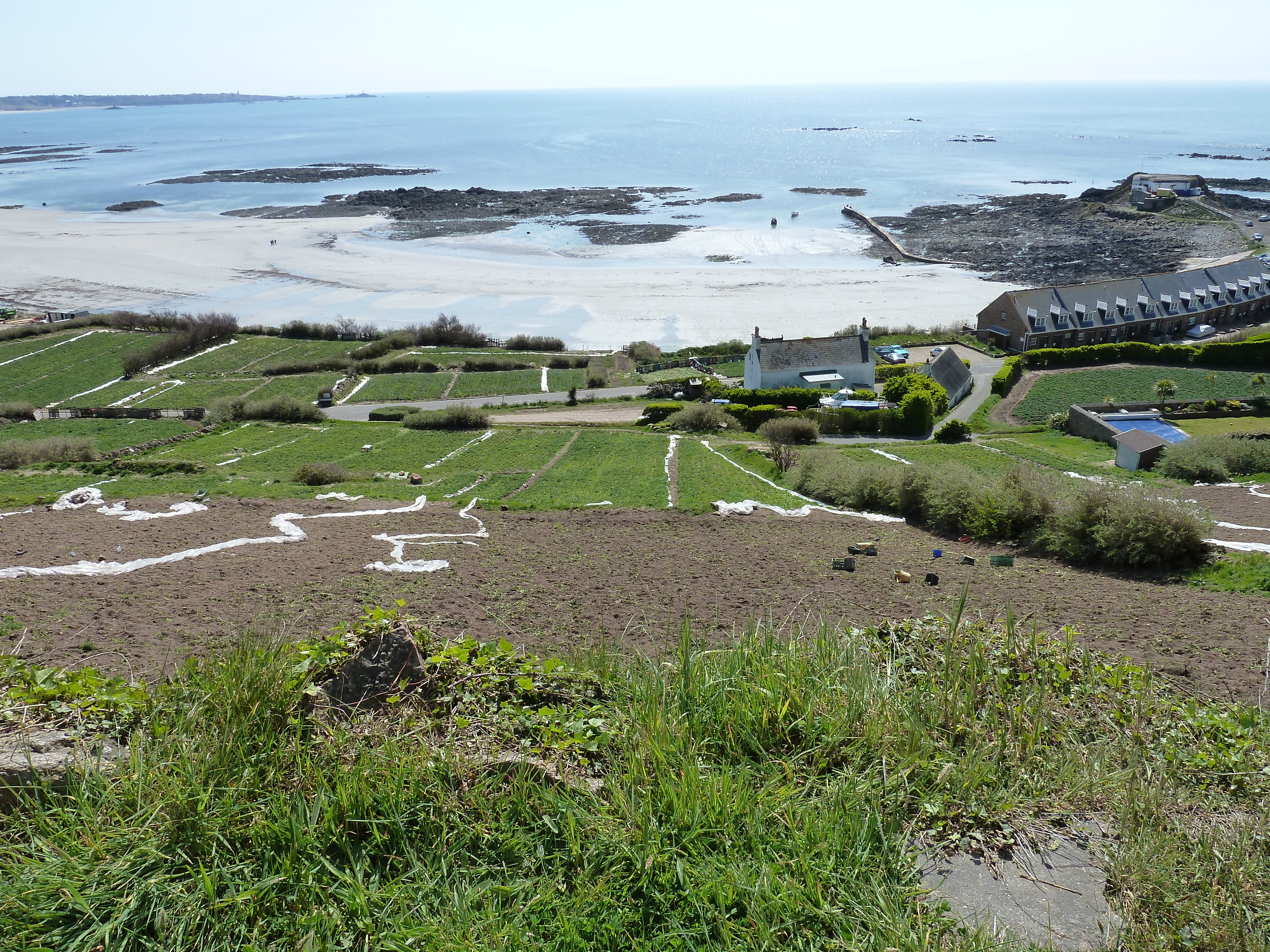 รูปถ่าย เจอร์ซีย์(Jersey) เจอร์ซีย์(Jersey) แซ็งตูแอ็ง(St Ouen) 2010-04 18