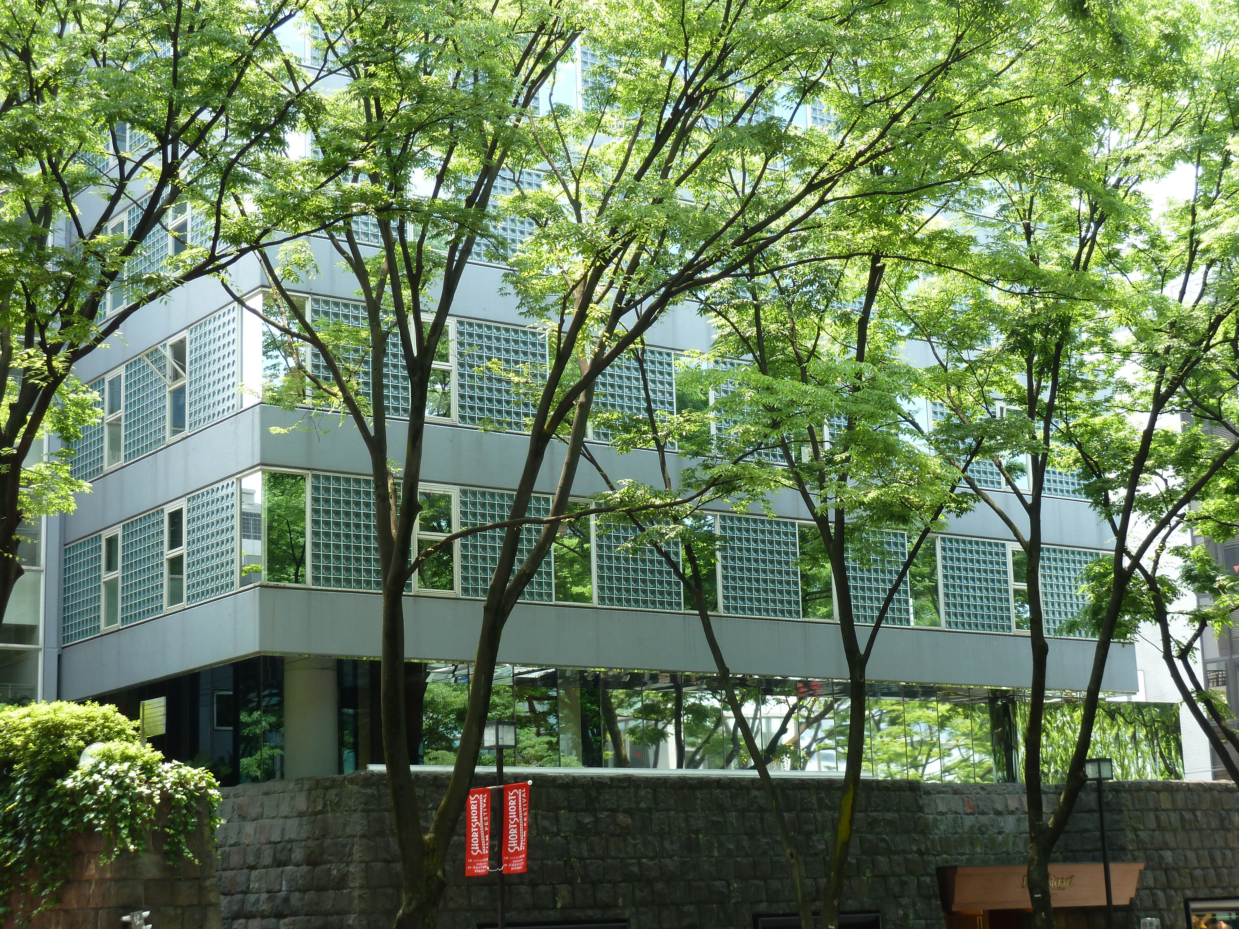 รูปถ่าย ญี่ปุ่น(Japan) โตเกียว(Tokyo) โอโมเตะซันโด(Omotesando) 2010-06 62