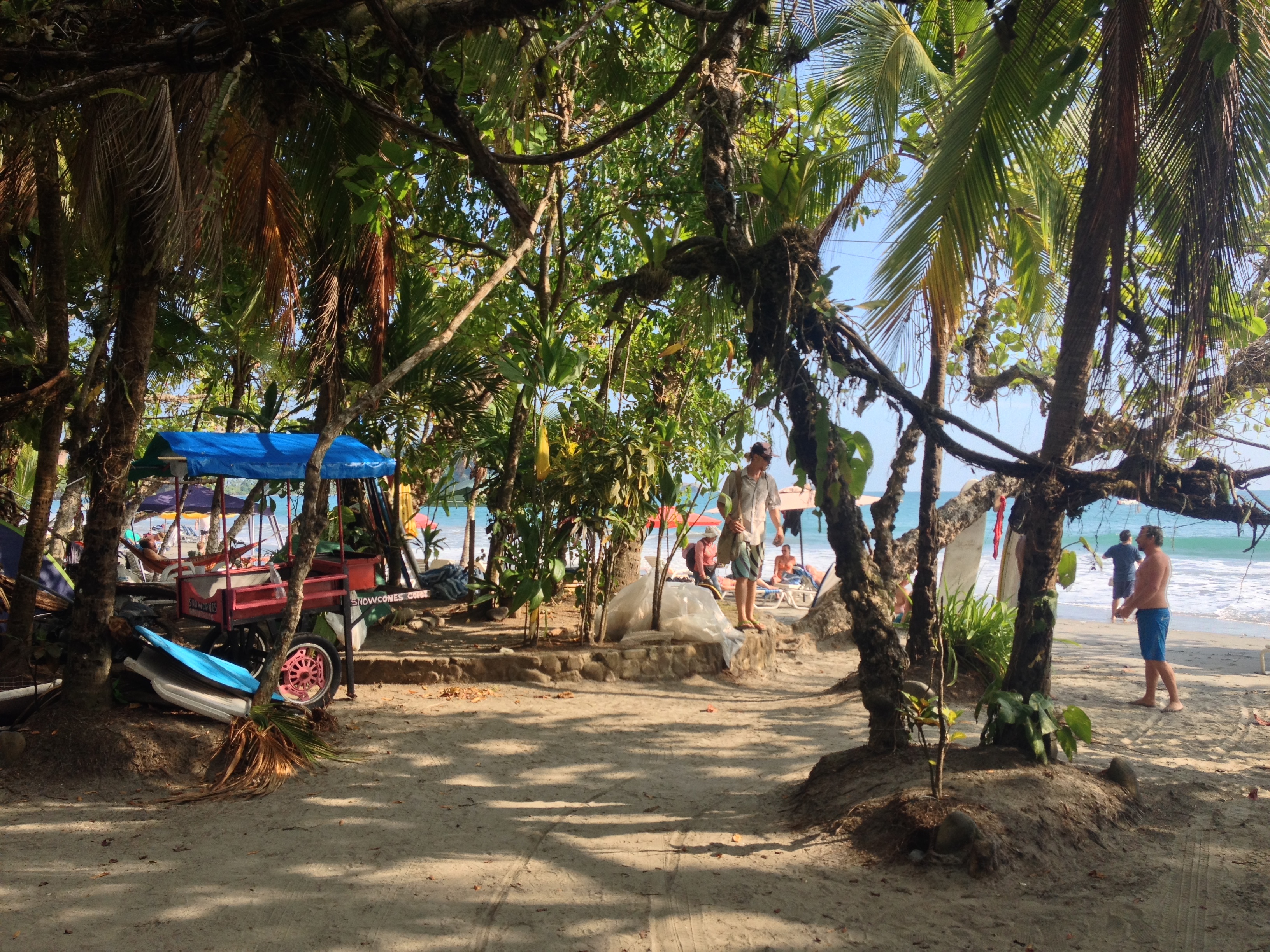 รูปถ่าย คอสตาริกา(Costa Rica) มานวยล์อันโตนีโอ(Manuel Antonio) 2015-03 209