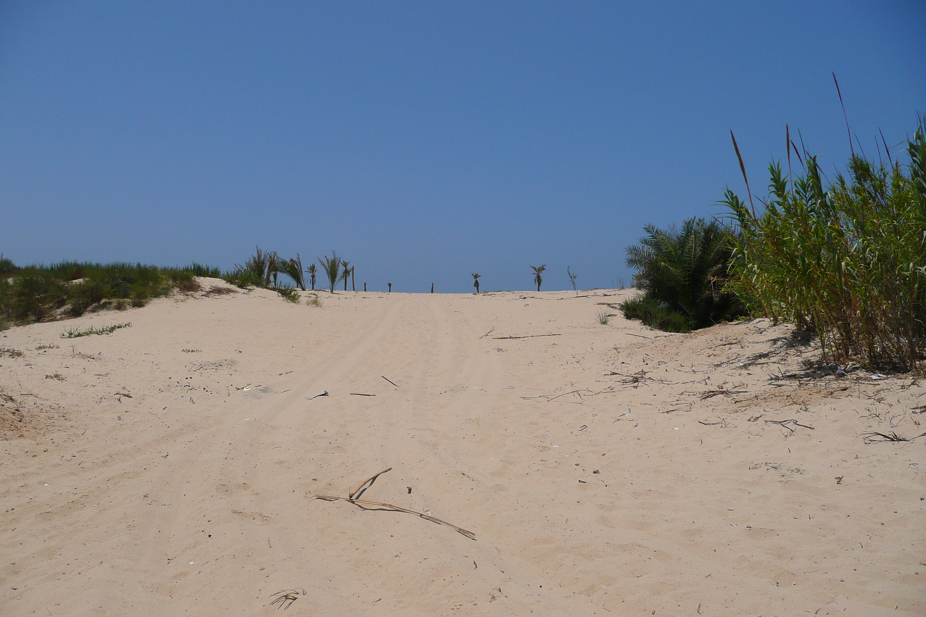 รูปถ่าย อิสราเอล(Israel) นิทซาน(Nitzan) 2007-06 18