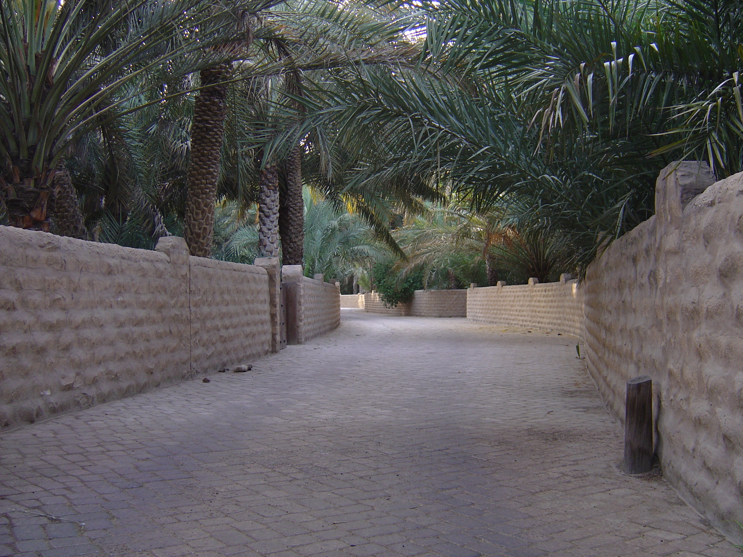 รูปถ่าย สหรัฐอาหรับเอมิเรตส์(United Arab Emirates) อาเลอิน(Al Ain) โอเอซิสอัลไอน์(Al Ain Oasis) 2005-03 0