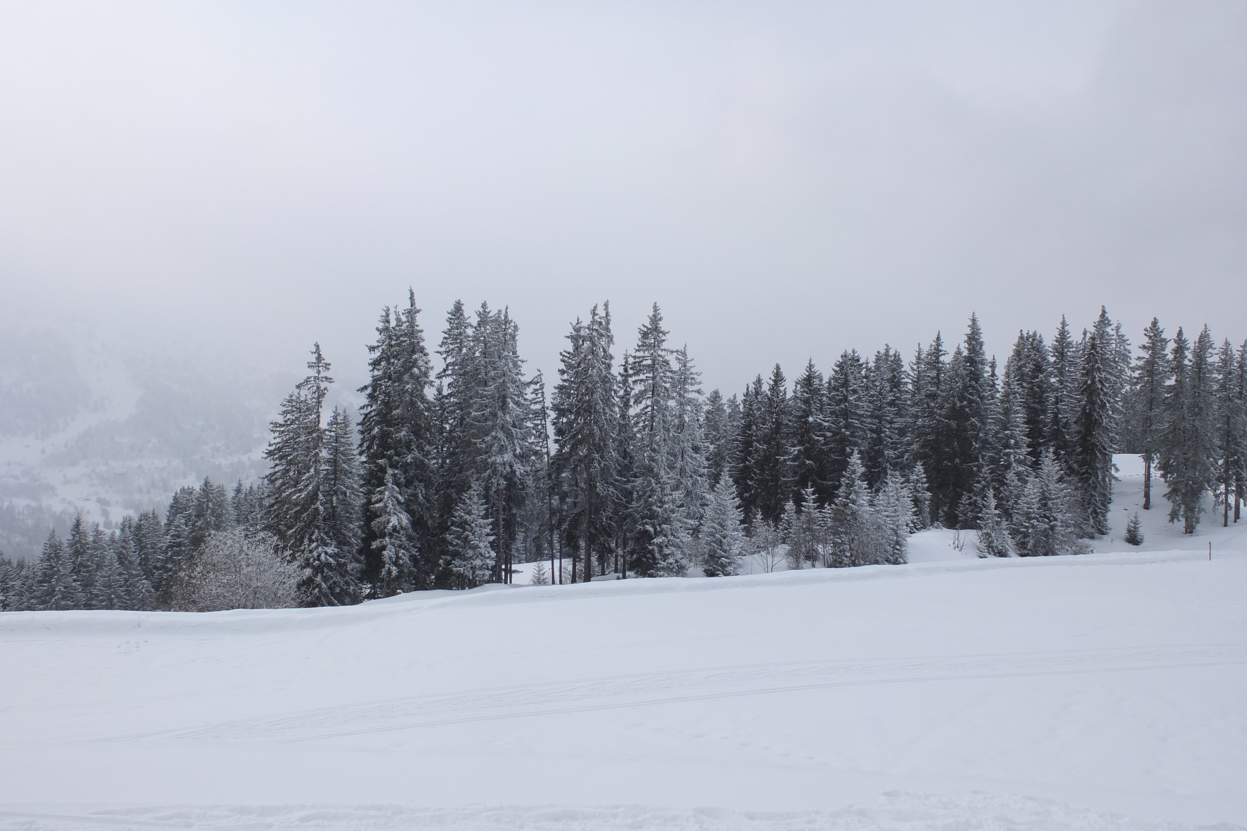รูปถ่าย ฝรั่งเศส(France) เลทรัววาเล(Les 3 Vallees) 2013-03 369