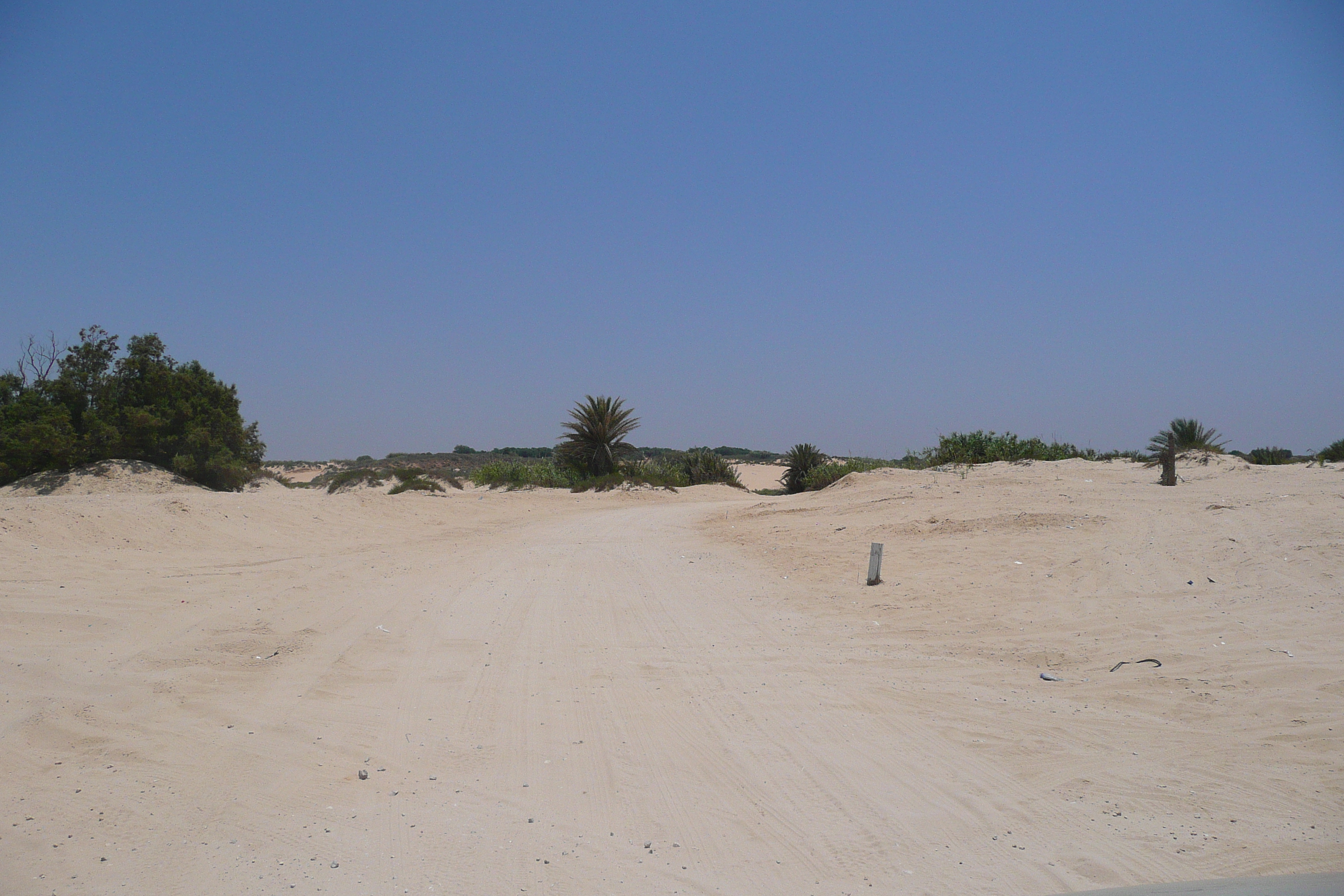รูปถ่าย อิสราเอล(Israel) นิทซาน(Nitzan) 2007-06 34