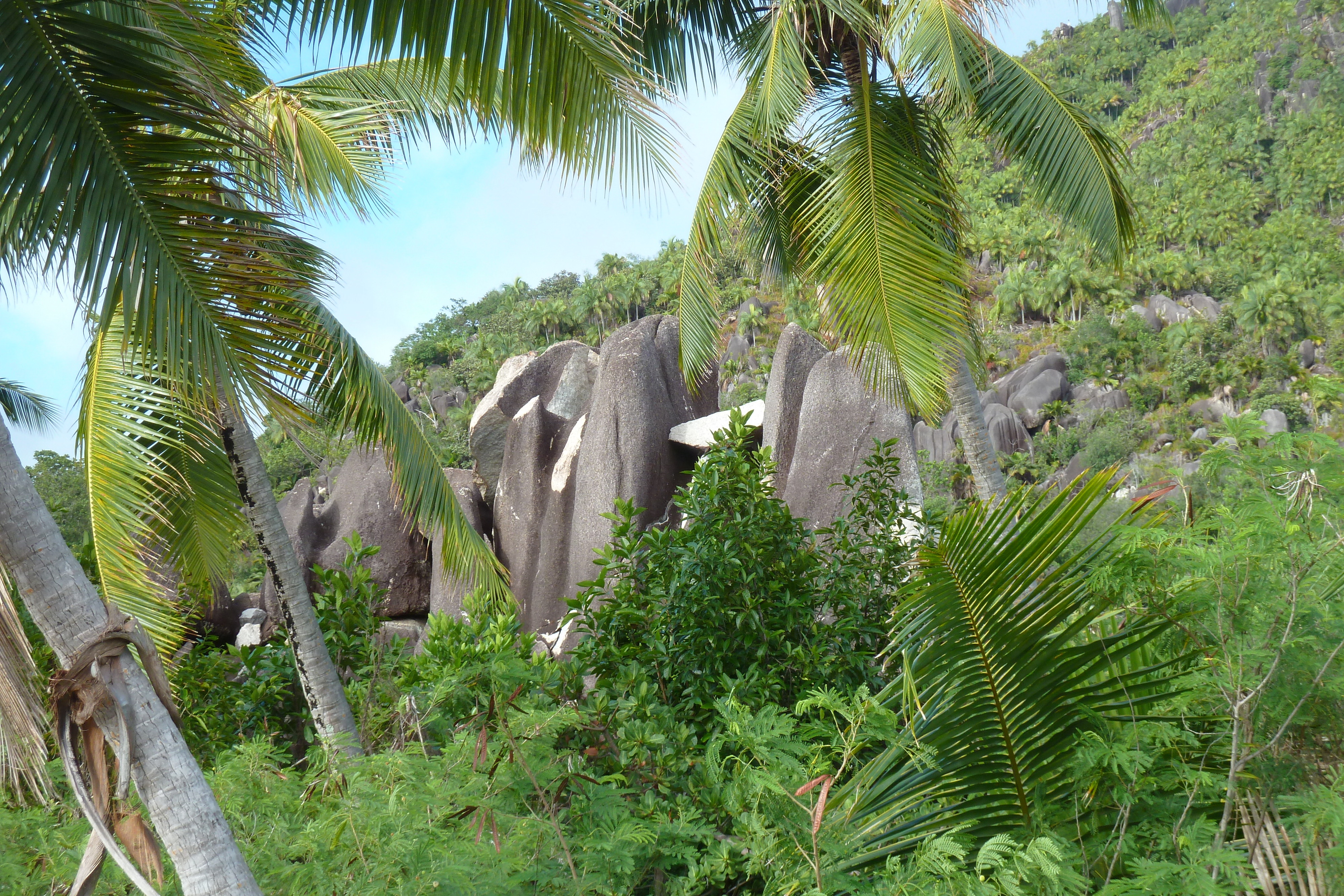 รูปถ่าย เซเชลส์(Seychelles) 2011-10 16