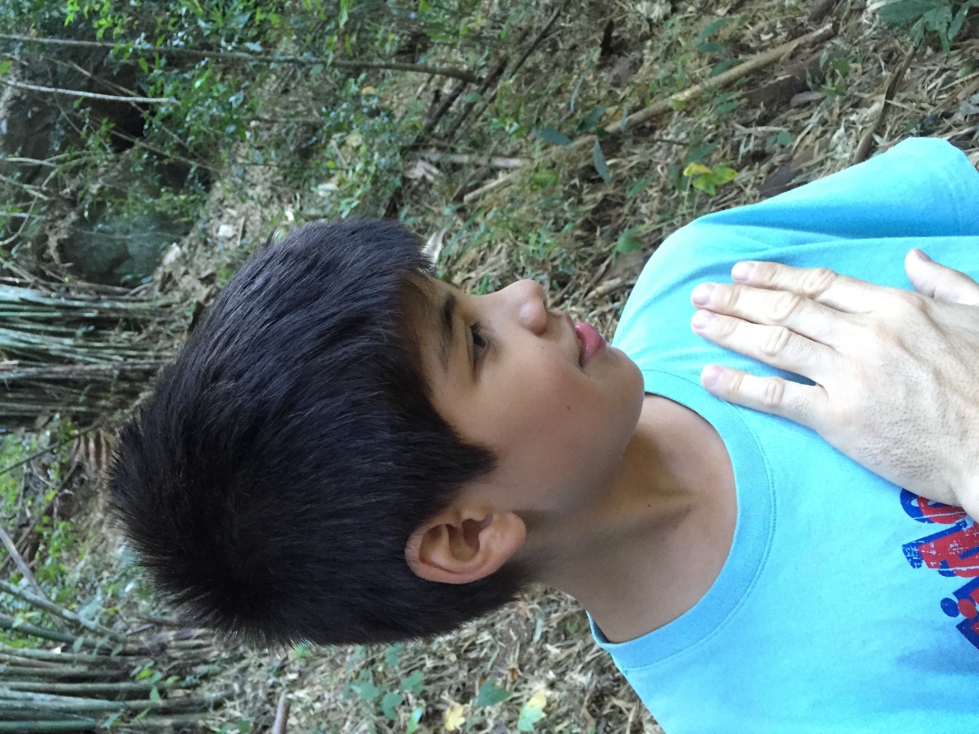 รูปถ่าย ไทย(Thailand) อุทยานแห่งชาติภูหินร่องกล้า(Phu Hin Rong Kla National Park) 2014-12 361