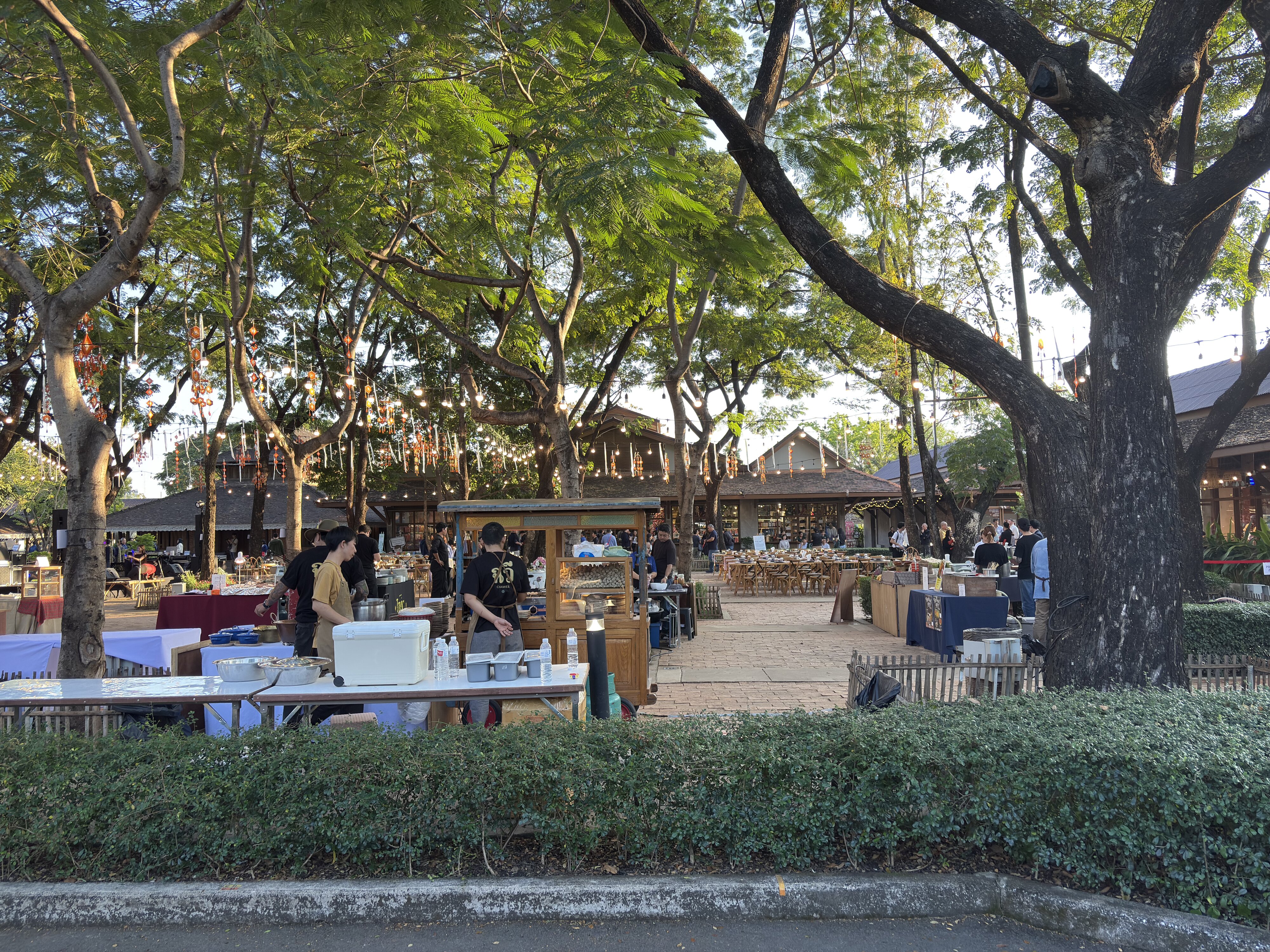 รูปถ่าย ไทย(Thailand) เชียงใหม่(Chiang Mai) 2026-01 3