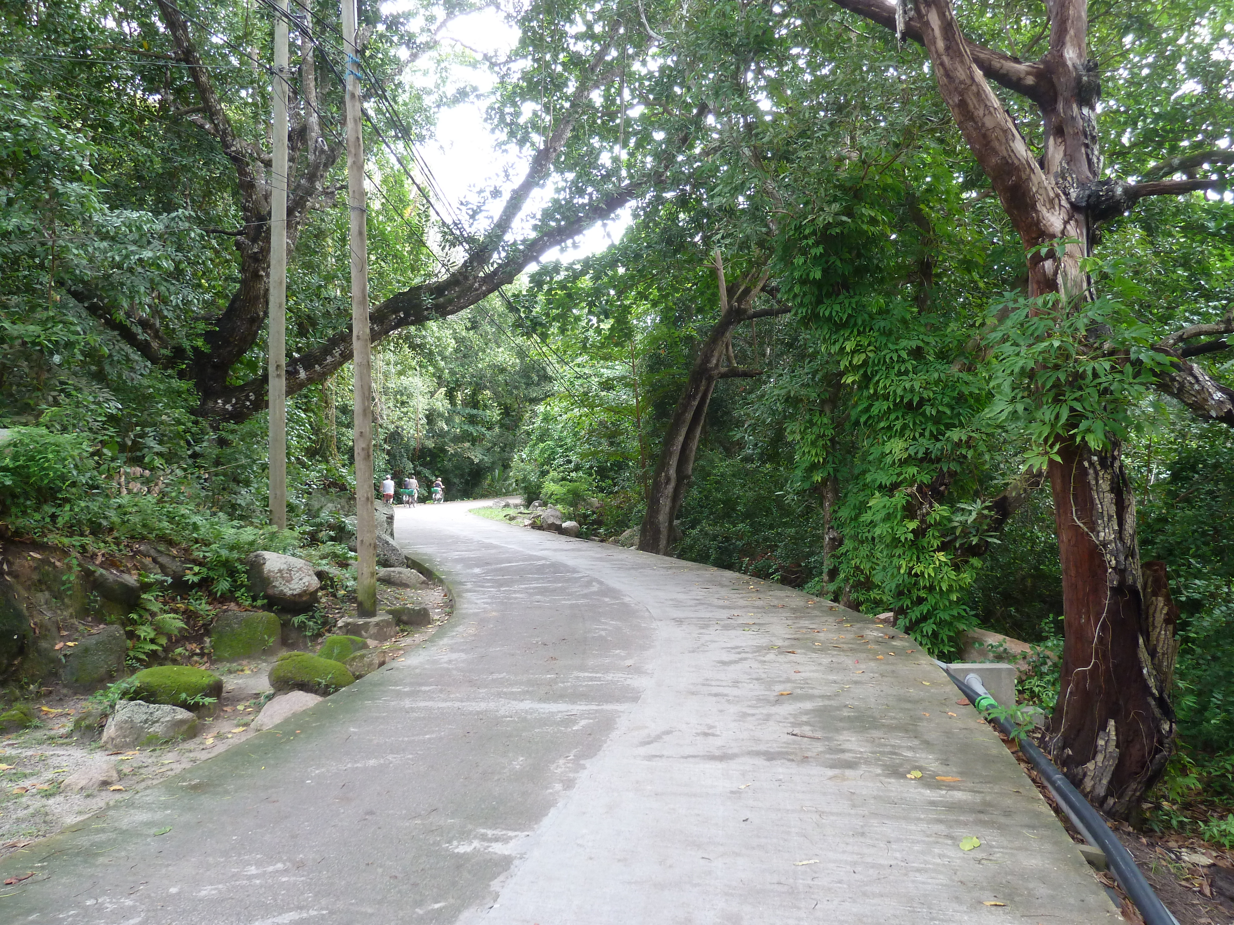 รูปถ่าย เซเชลส์(Seychelles) เกาะลาดีก(La Digue) 2011-10 58