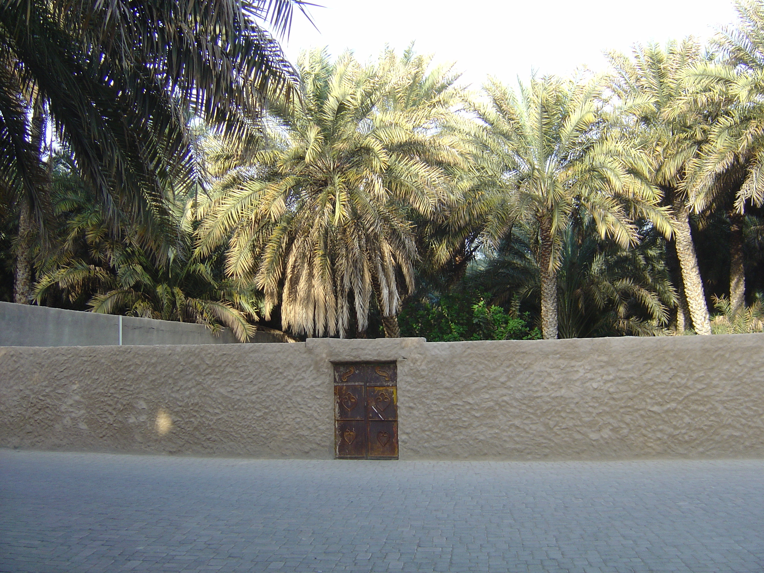 รูปถ่าย สหรัฐอาหรับเอมิเรตส์(United Arab Emirates) อาเลอิน(Al Ain) โอเอซิสอัลไอน์(Al Ain Oasis) 2005-03 29