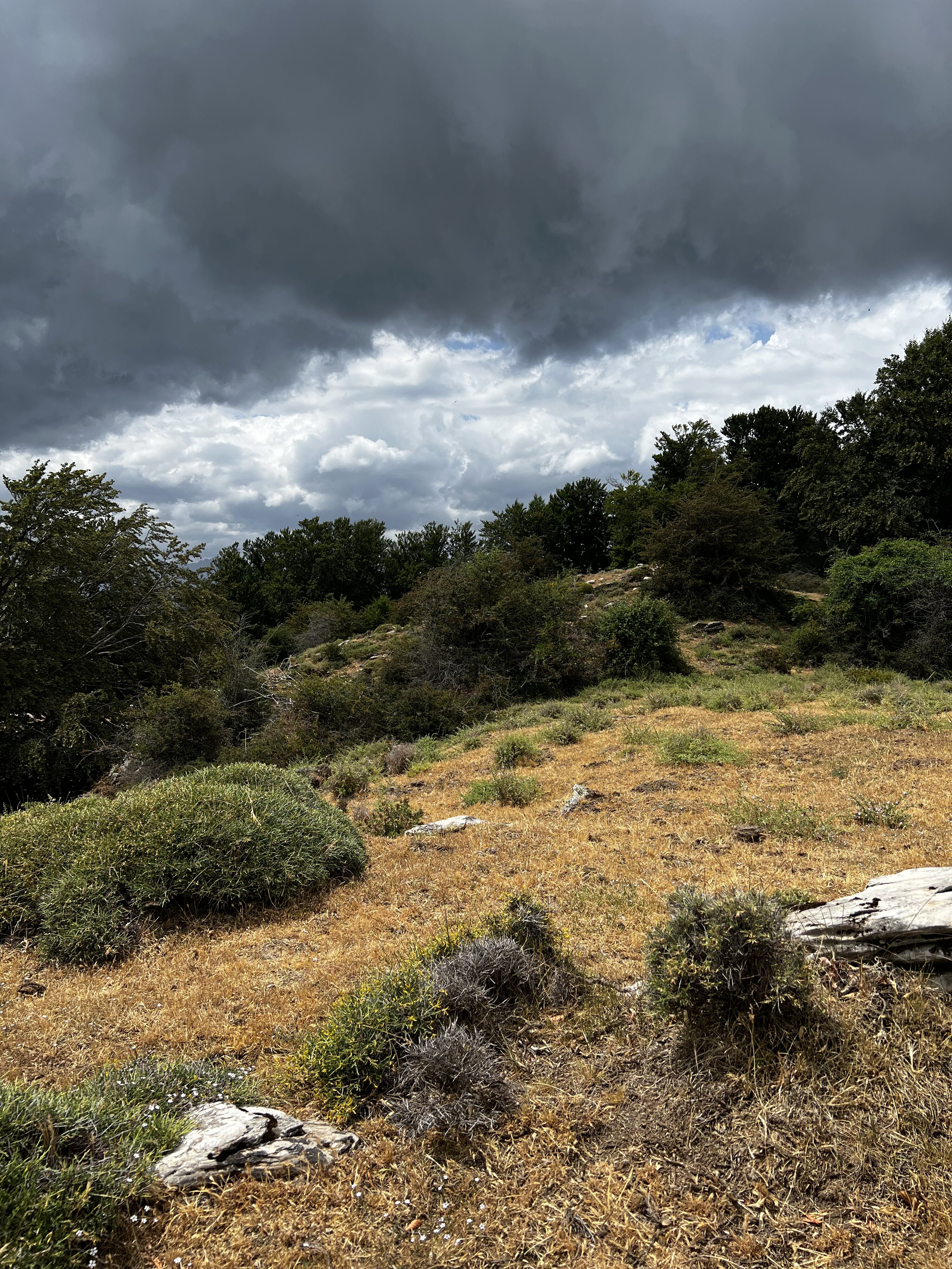 รูปถ่าย ฝรั่งเศส(France) คอร์สิคา(Corsica) ที่พักกัลเลรุชชู(Refuge de Callerucciu) 2022-06 41