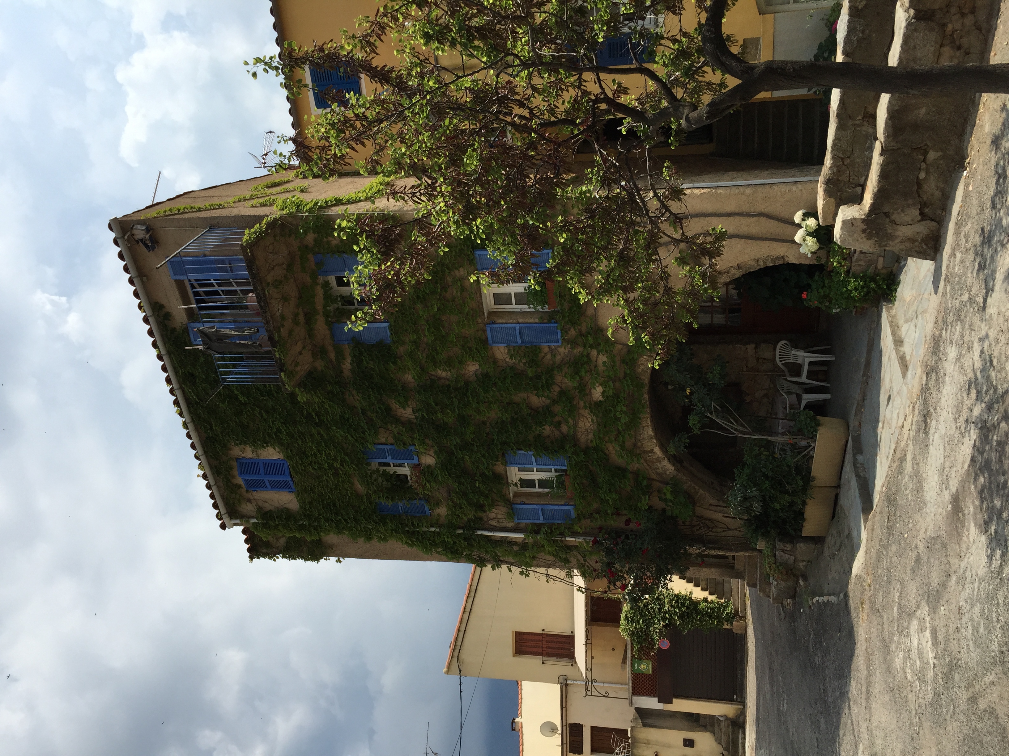 รูปถ่าย ฝรั่งเศส(France) คอร์สิคา(Corsica) อาเรนโญ(Aregno) 2015-05 17