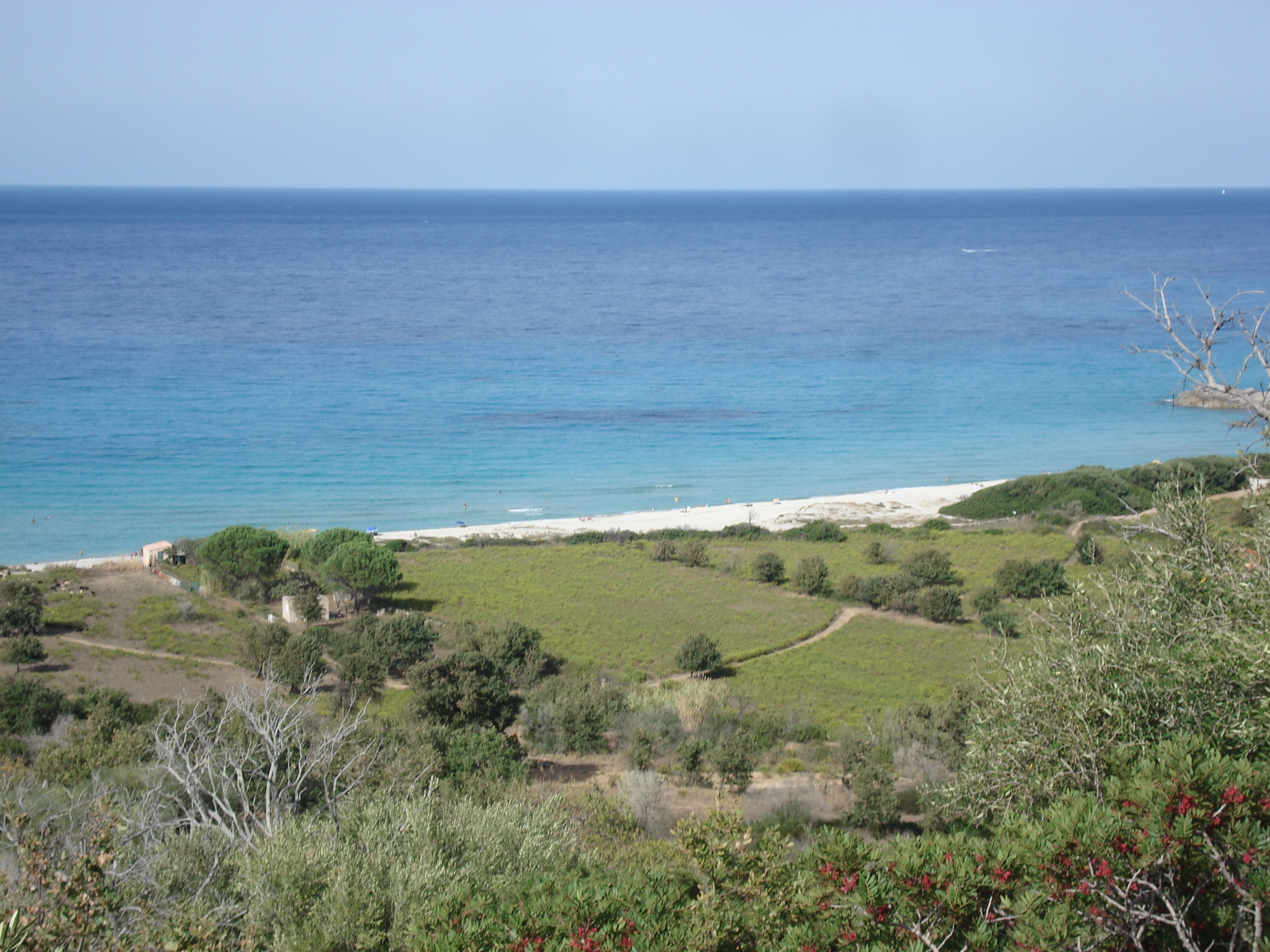 รูปถ่าย ฝรั่งเศส(France) คอร์สิคา(Corsica) ถนนจากลีล-รูสไปกาลวี(Ile Rousse to Calvi Road) 2006-09 9
