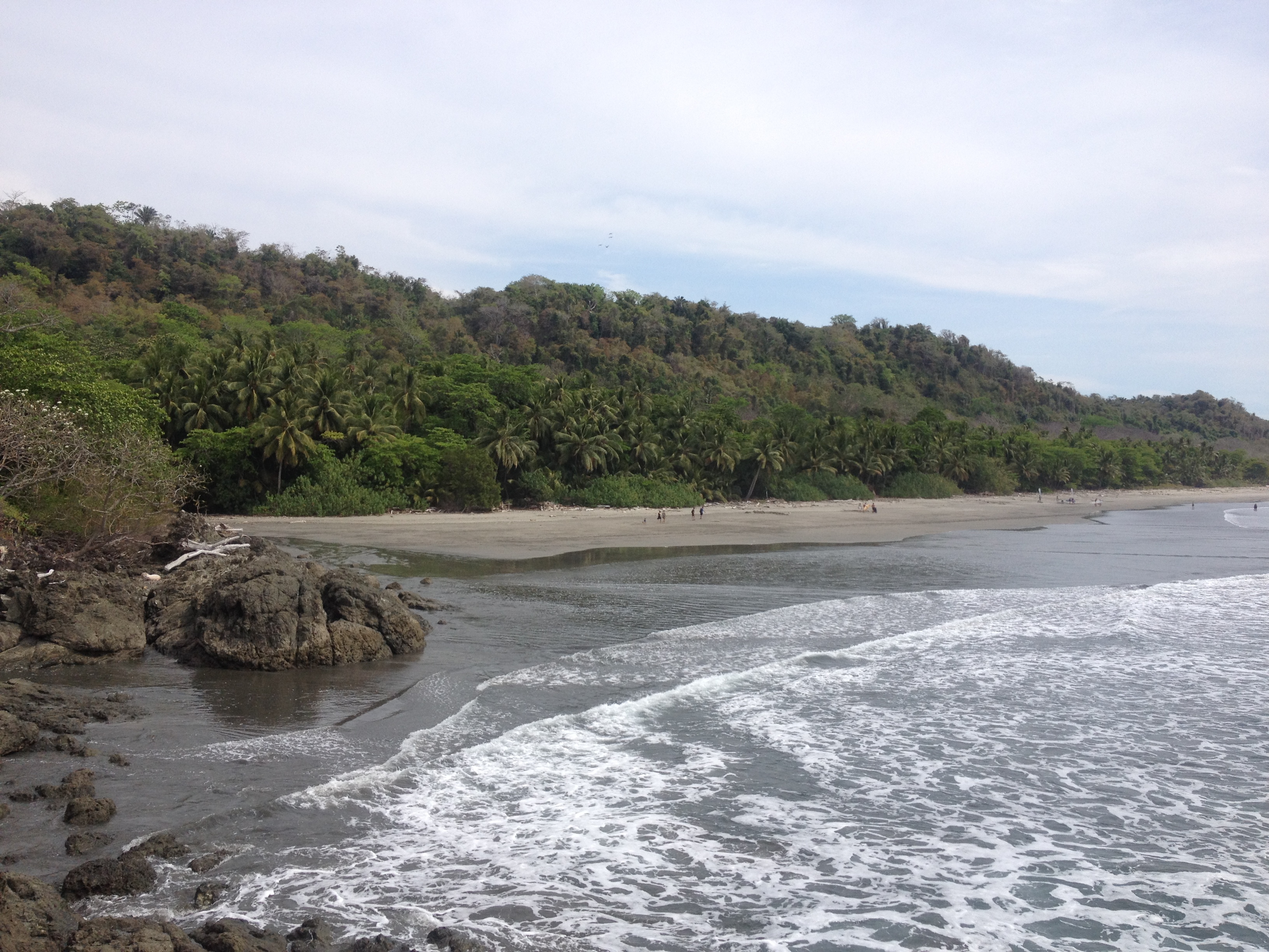 รูปถ่าย คอสตาริกา(Costa Rica) มอนเตซูมา(Montezuma) 2015-03 263