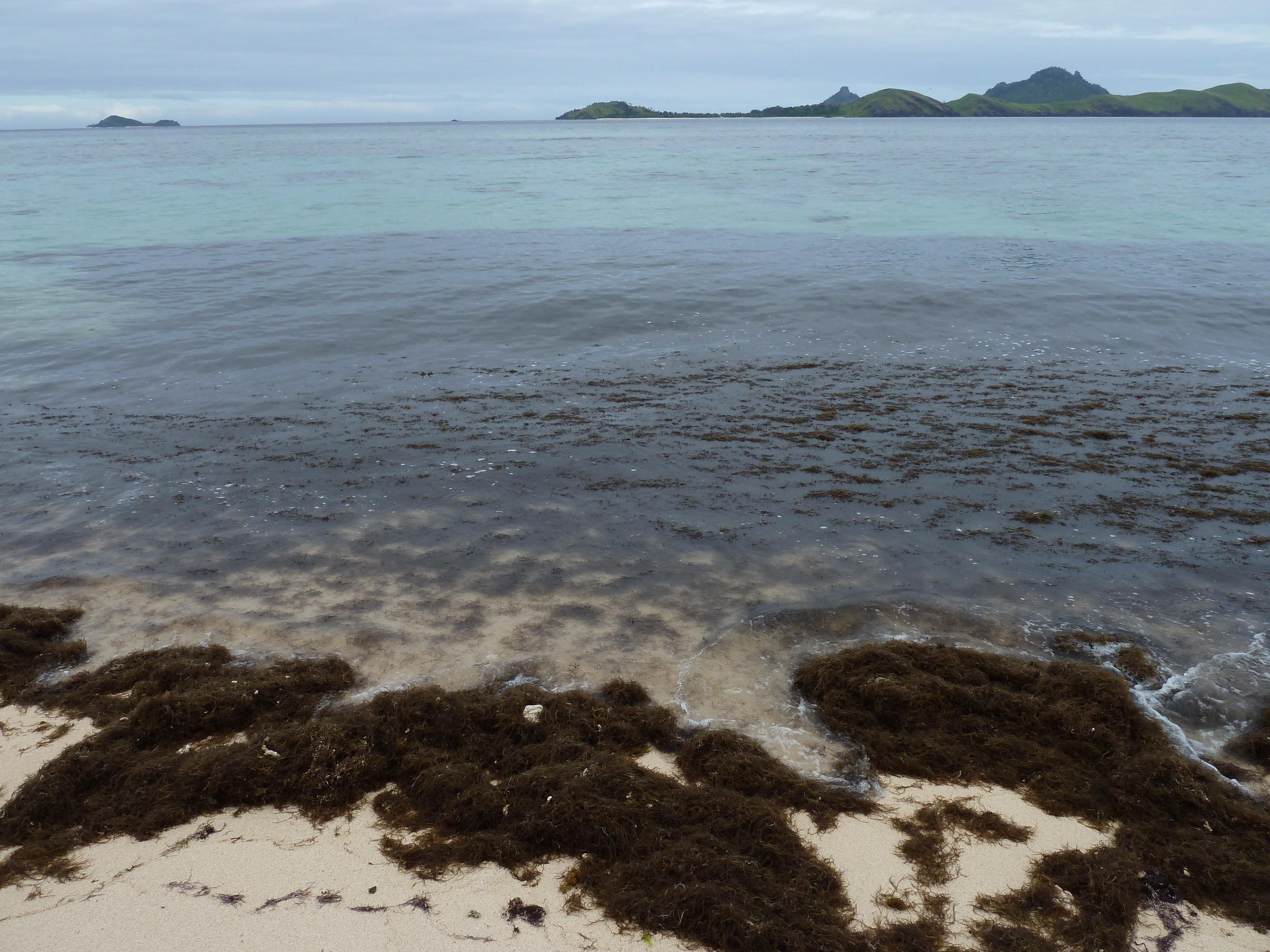 รูปถ่าย ฟิจิ(Fiji) รีสอร์ตเกาะอามูนูกา(Amunuca Island Resort) 2010-05 103
