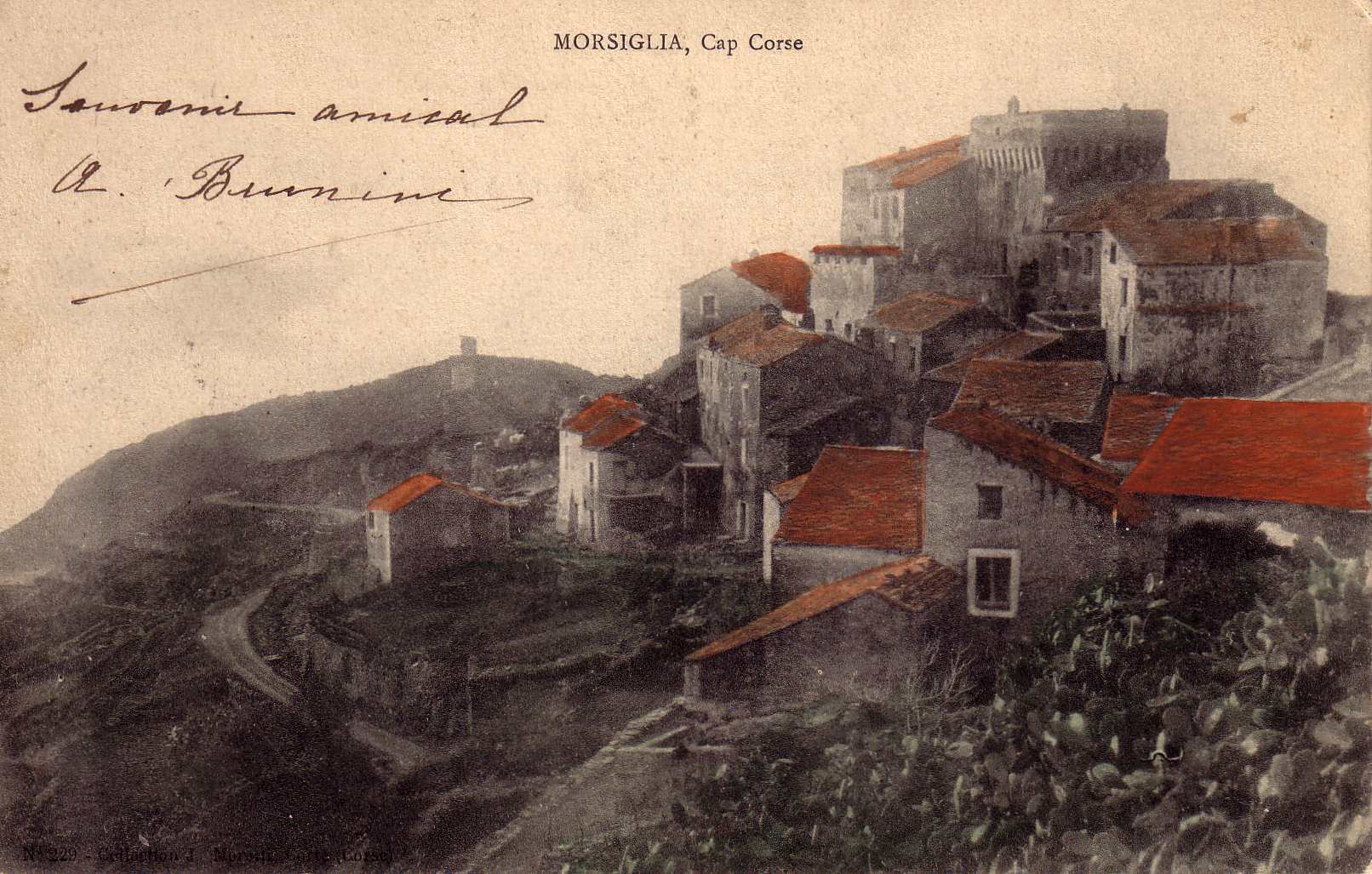 รูปถ่าย ฝรั่งเศส(France) คอร์สิคา(Corsica) โปสการ์ดเก่า(Old Postcards) 1900-01 96