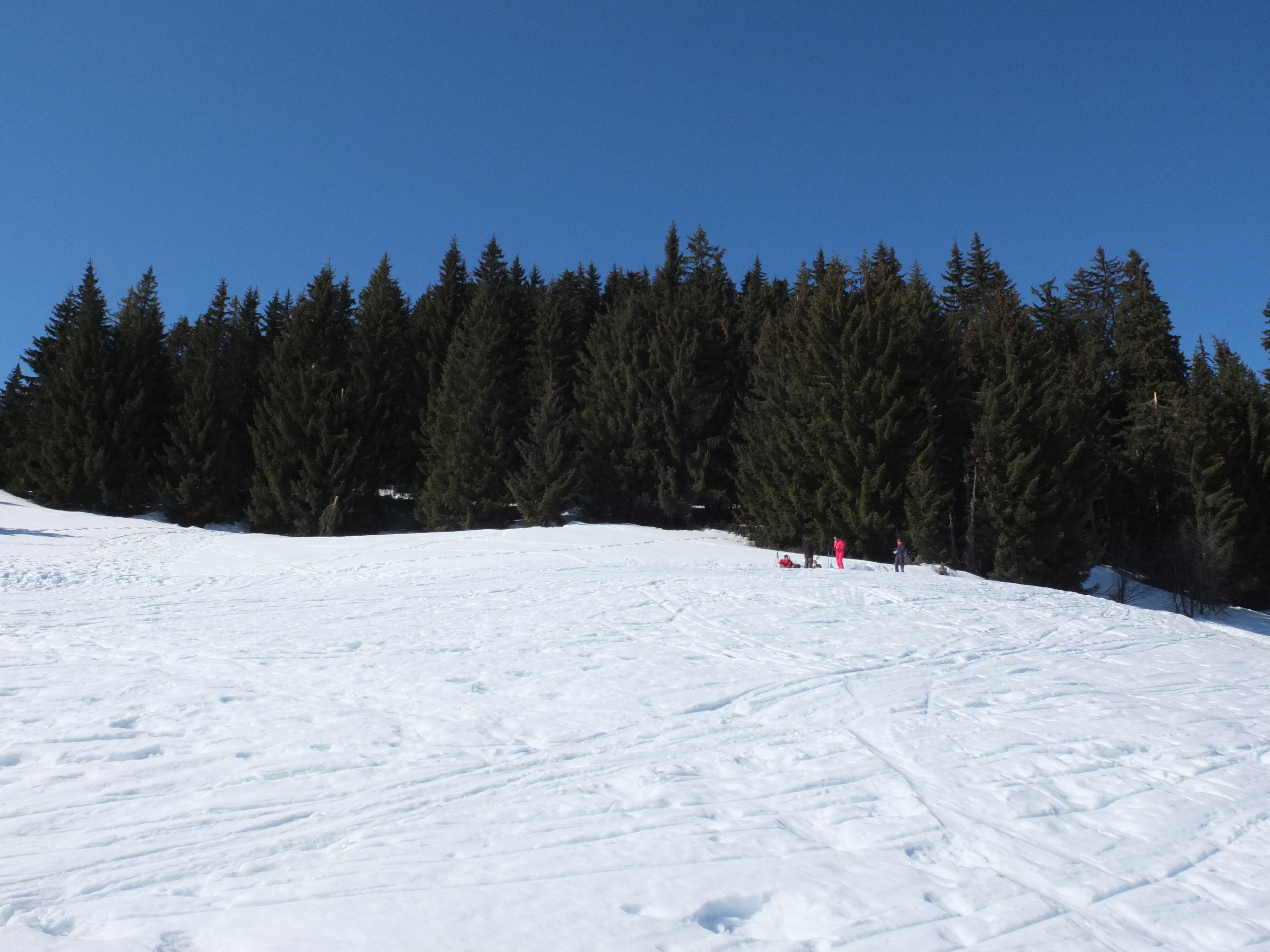 รูปถ่าย ฝรั่งเศส(France) ก็องบลู(Combloux) 2012-02 57