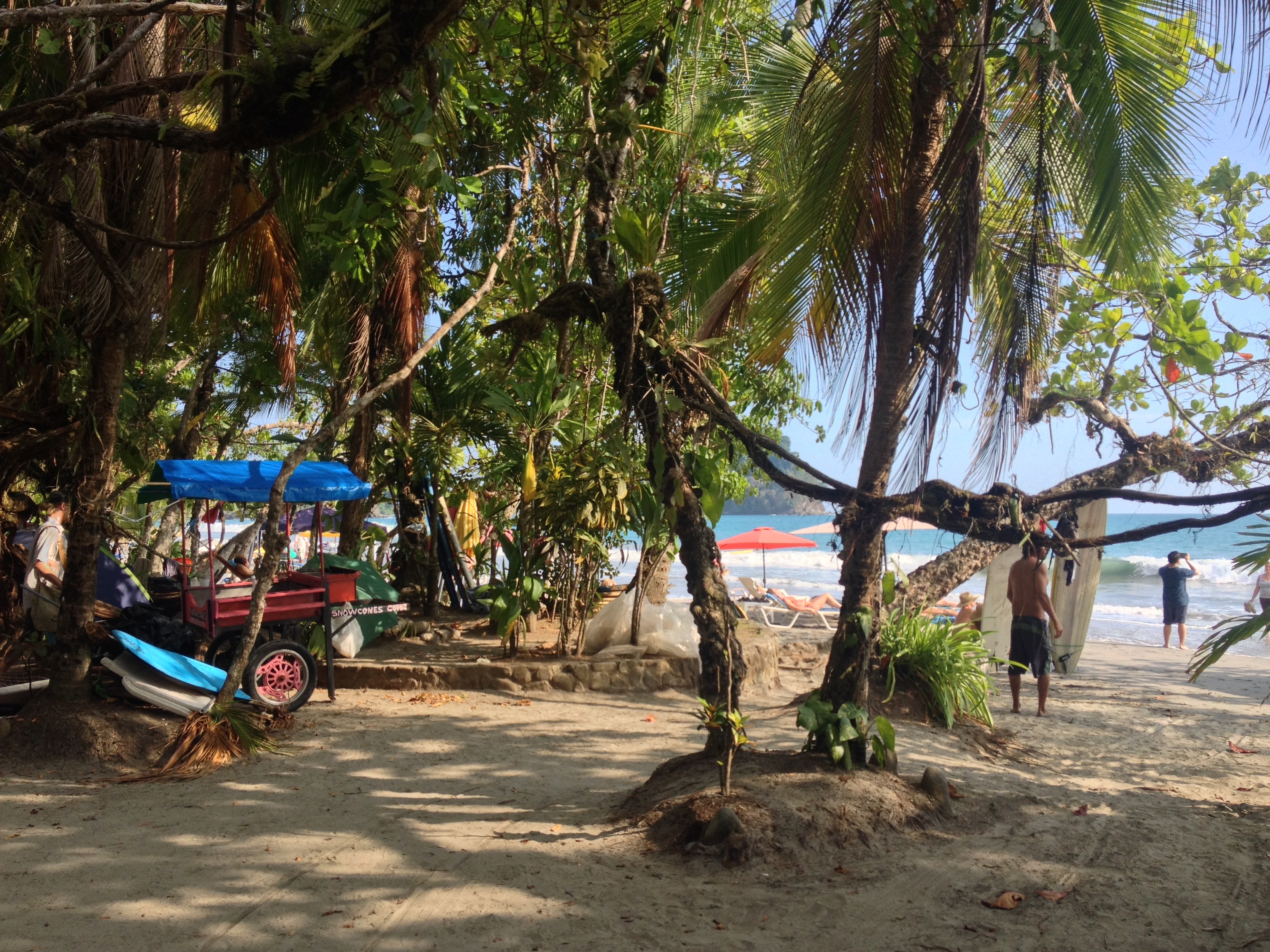 รูปถ่าย คอสตาริกา(Costa Rica) 2015-03 63