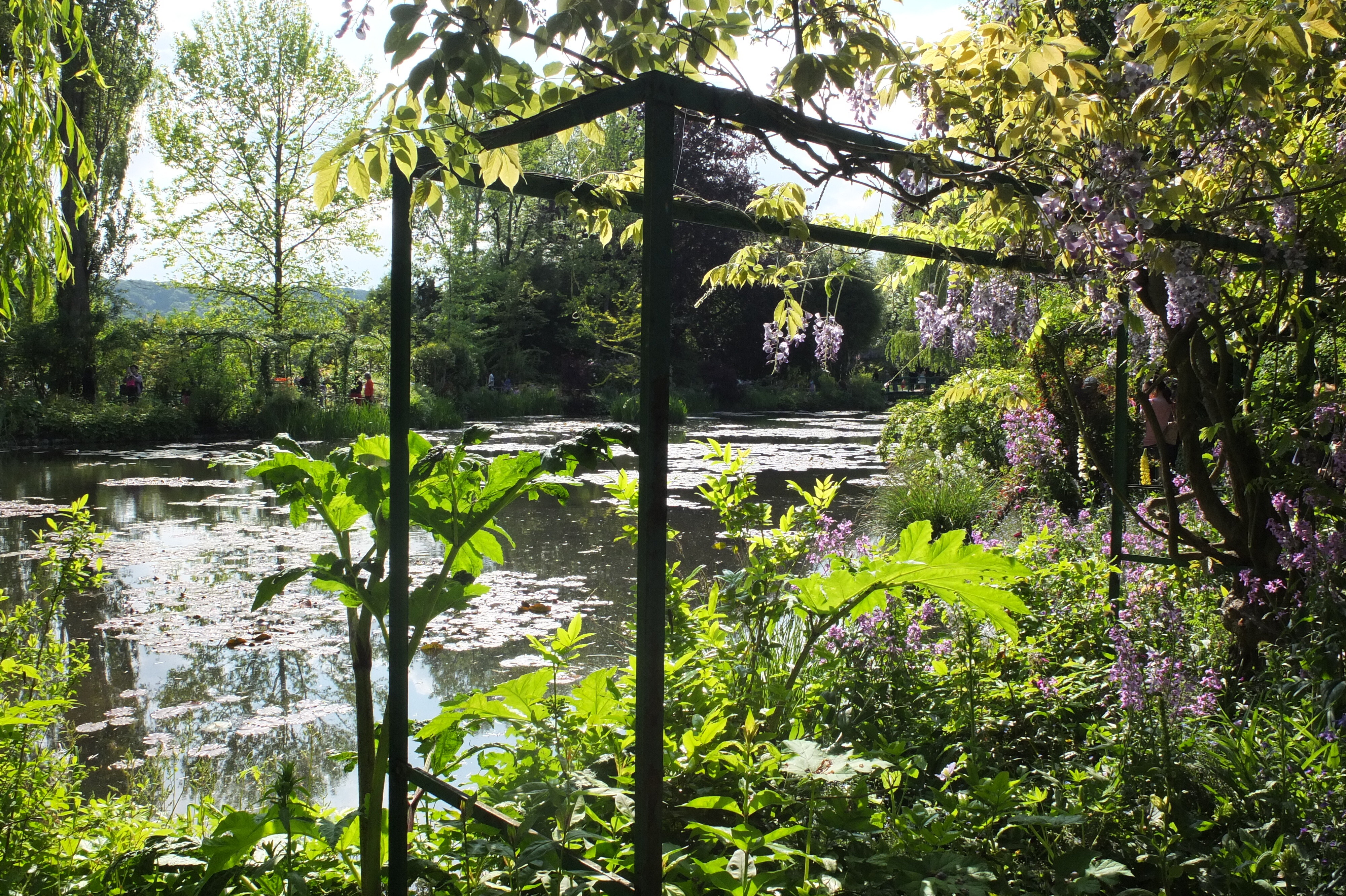 รูปถ่าย ฝรั่งเศส(France) ฌีแวร์นี(Giverny) 2013-06 102