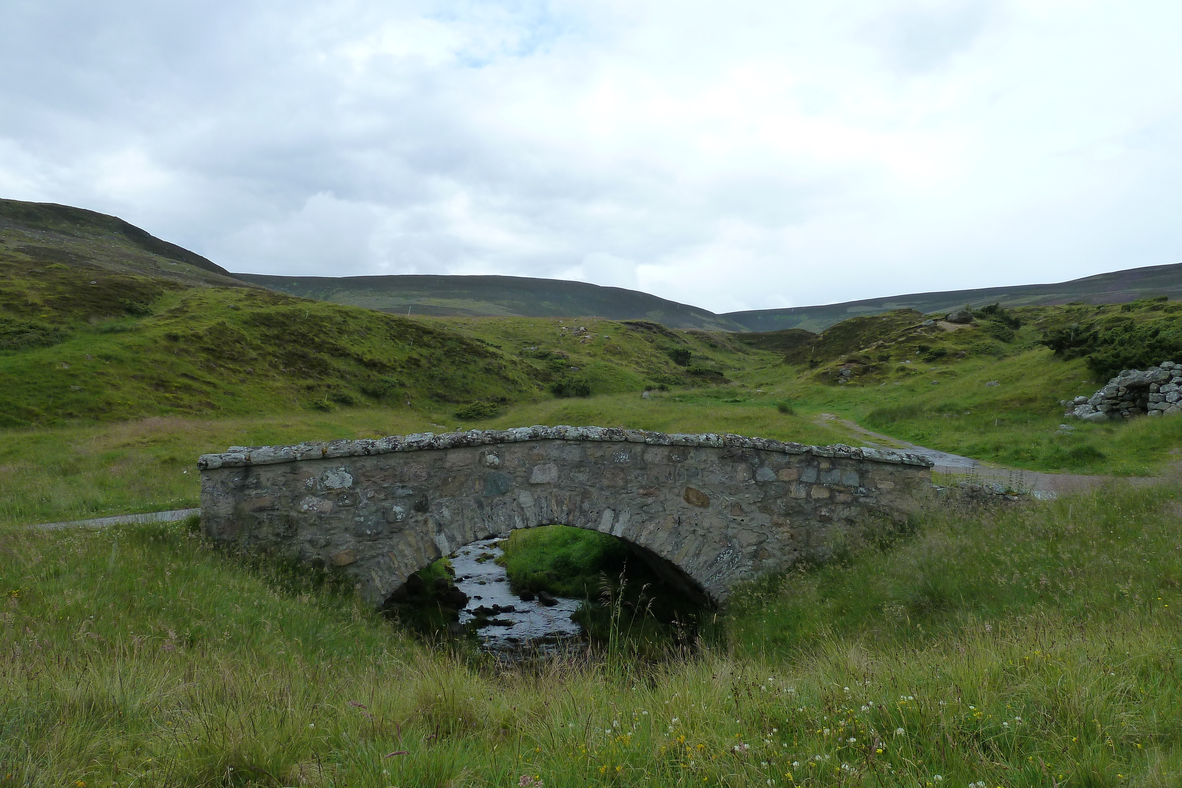 รูปถ่าย อังกฤษ(United Kingdom) อุทยานแห่งชาติแคร์นกอร์มส์(Cairngorms National Park) 2011-07 3