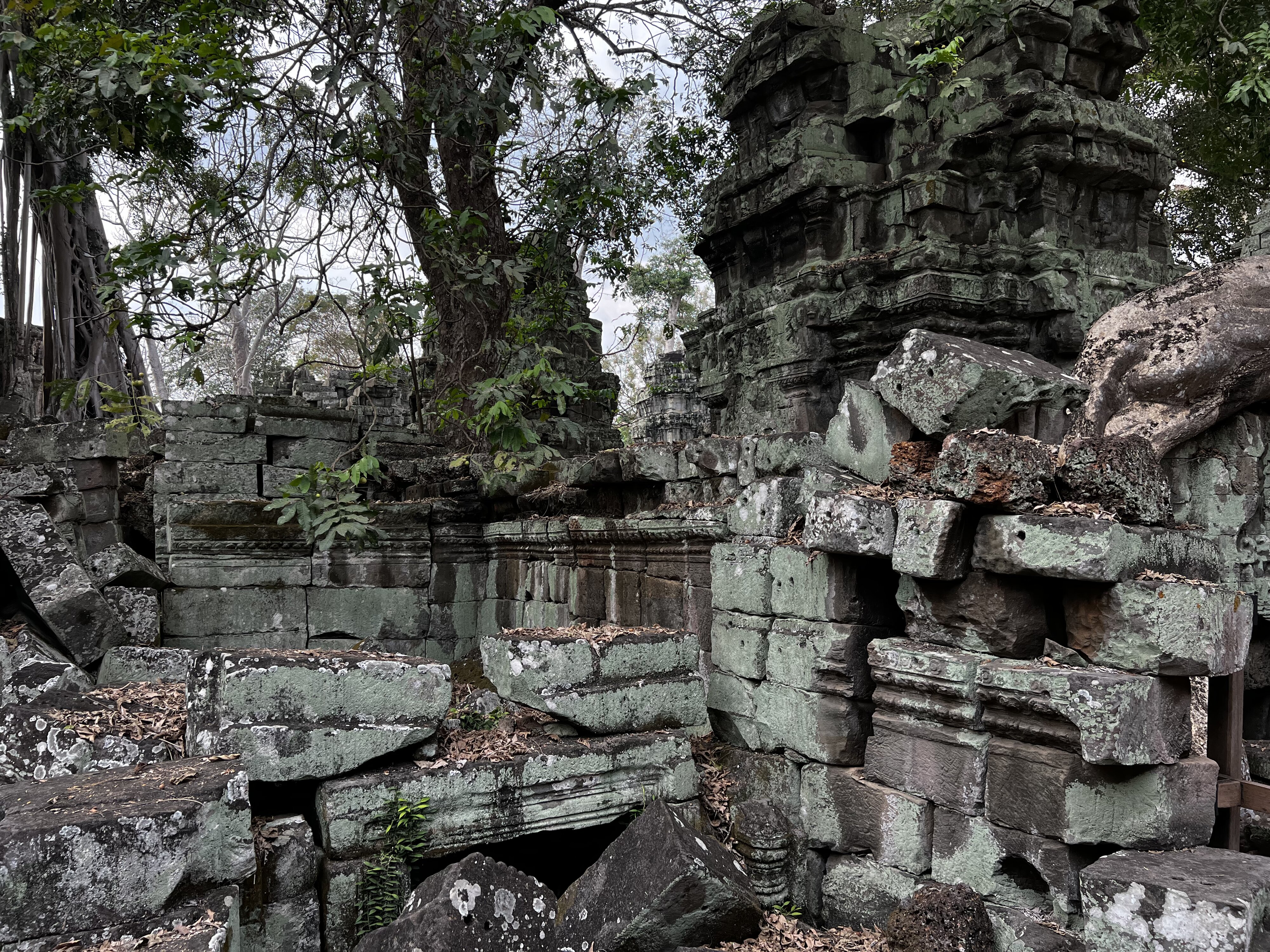 รูปถ่าย กัมพูชา(Cambodia) เสียมราฐ(Siem Reap) ปราสาทตาพรหม(Ta Prohm) 2023-01 121