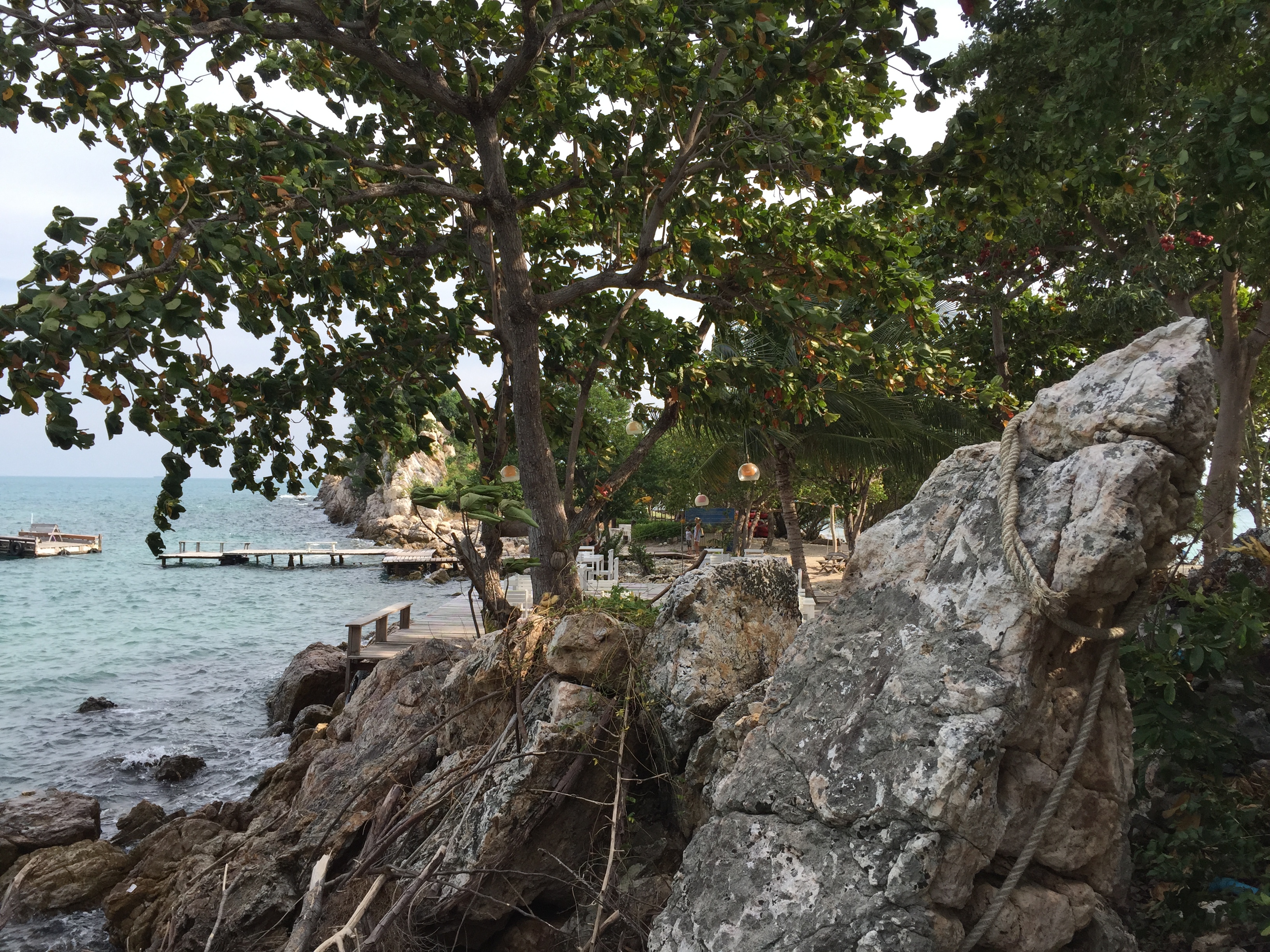 รูปถ่าย ไทย(Thailand) เกาะเสม็ด(Ko Samet) 2014-12 299