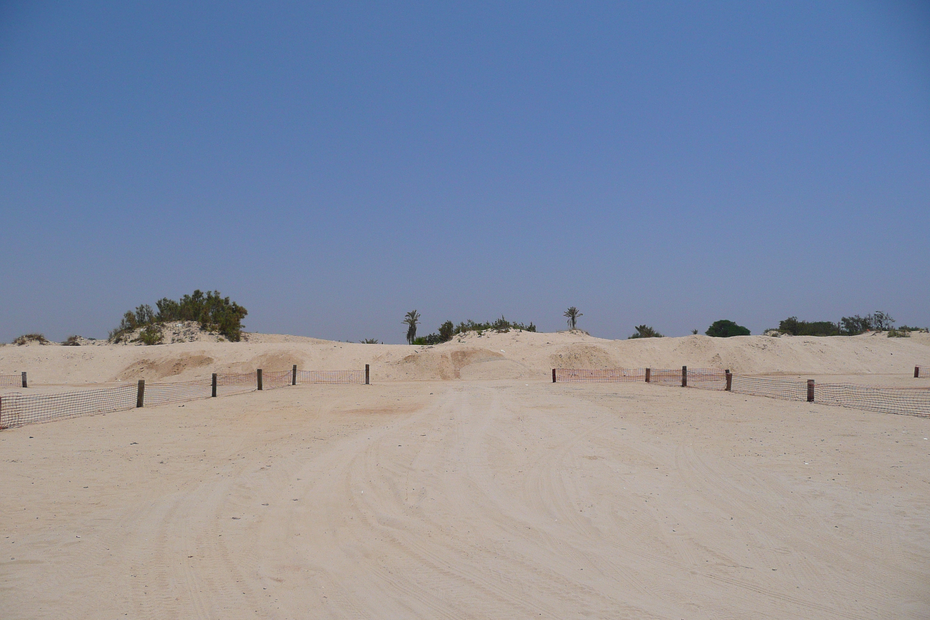 รูปถ่าย อิสราเอล(Israel) นิทซาน(Nitzan) 2007-06 83