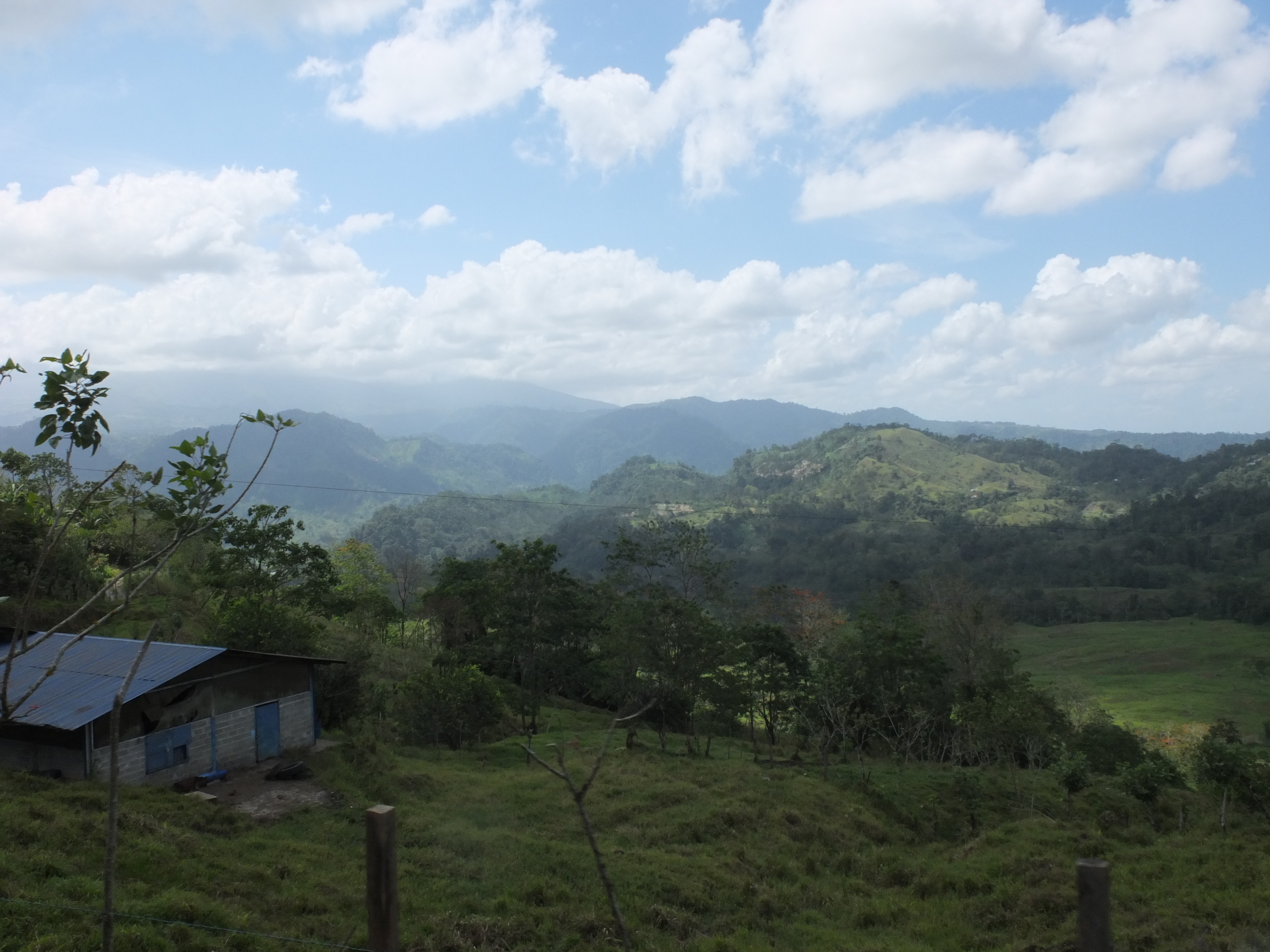 รูปถ่าย คอสตาริกา(Costa Rica) ตูร์รีอัลบา(Turrialba) 2015-03 82