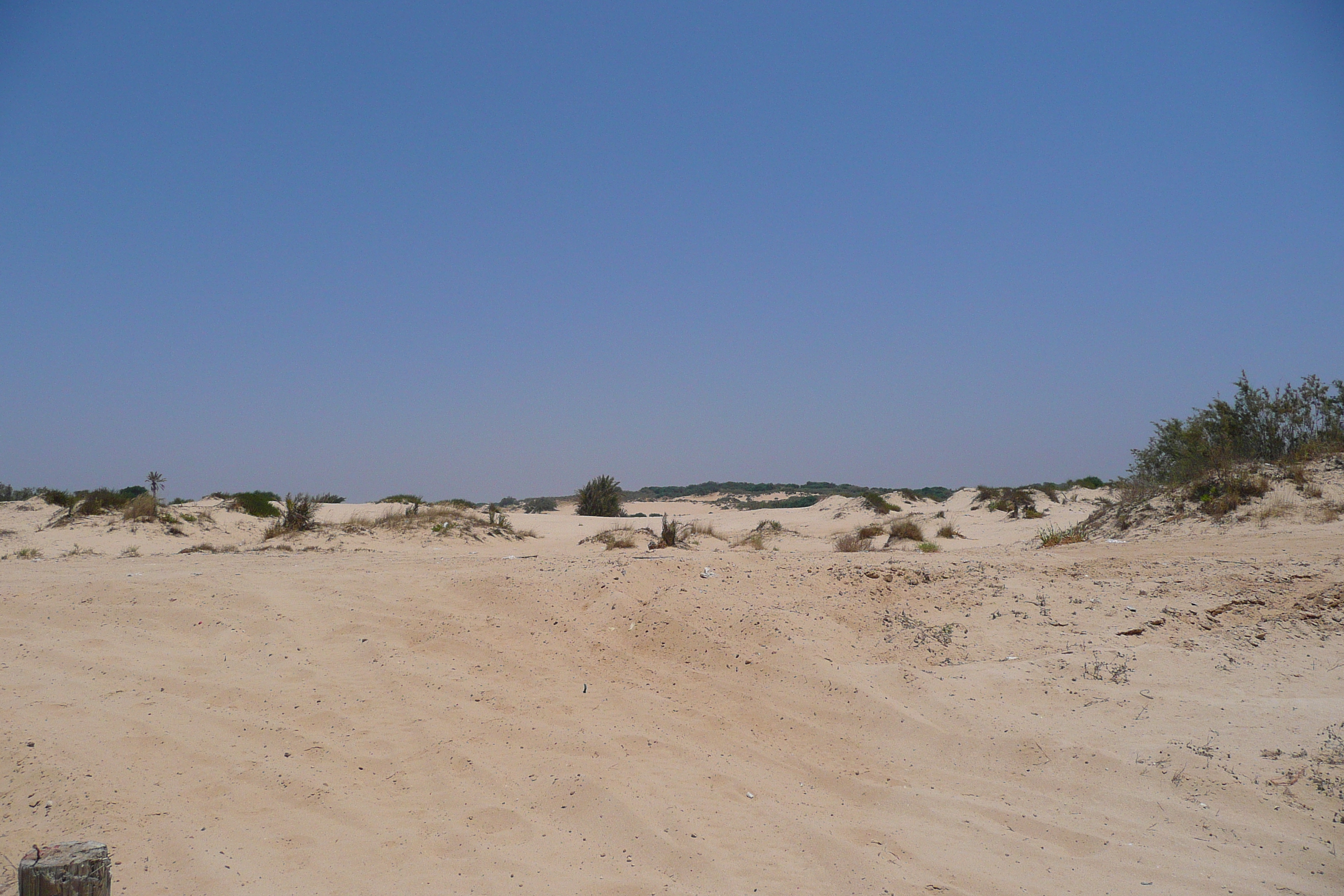 รูปถ่าย อิสราเอล(Israel) นิทซาน(Nitzan) 2007-06 32