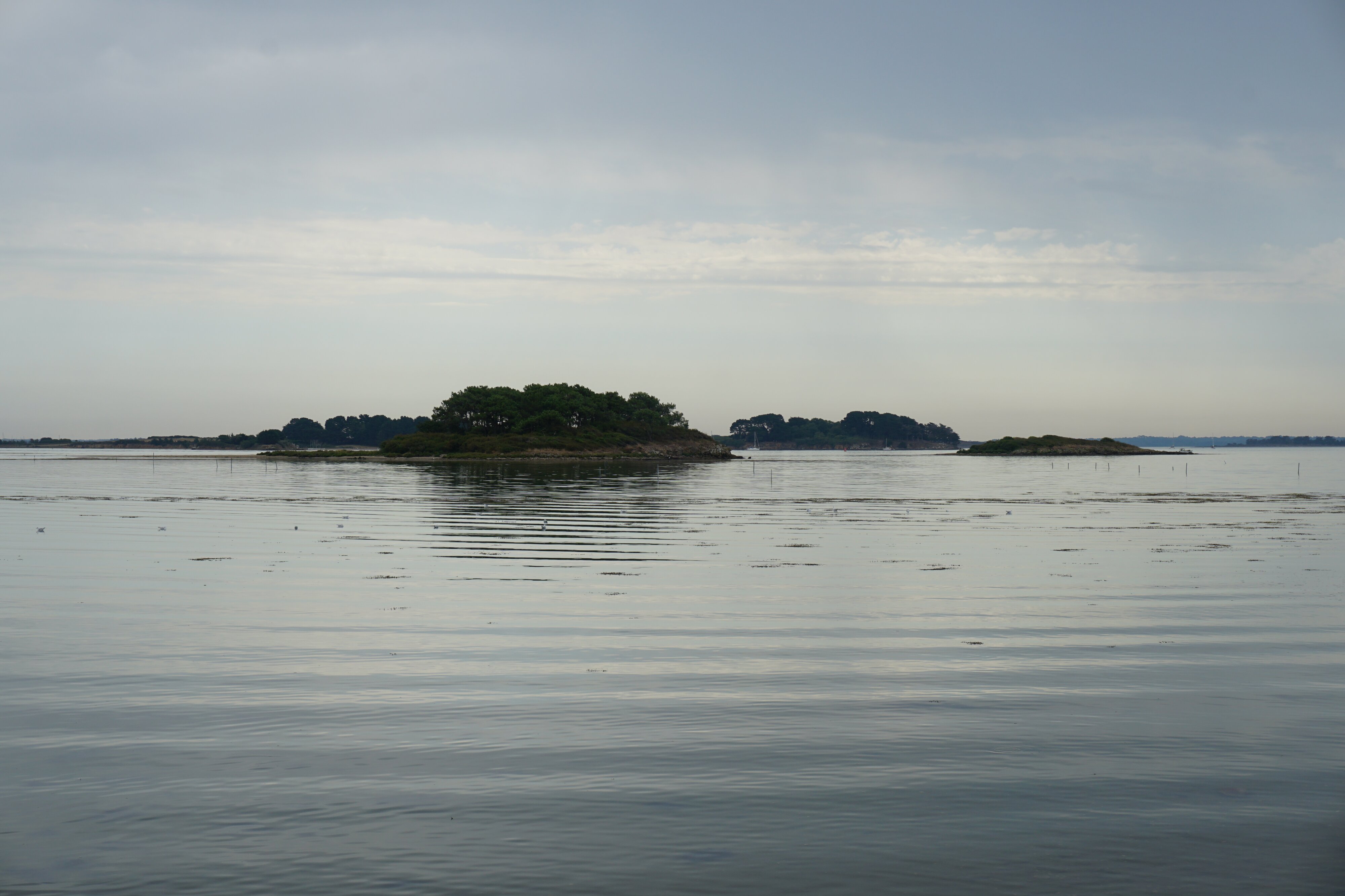 รูปถ่าย ฝรั่งเศส(France) เกาะโอมวน(Ile-aux-Moines) 2016-08 12