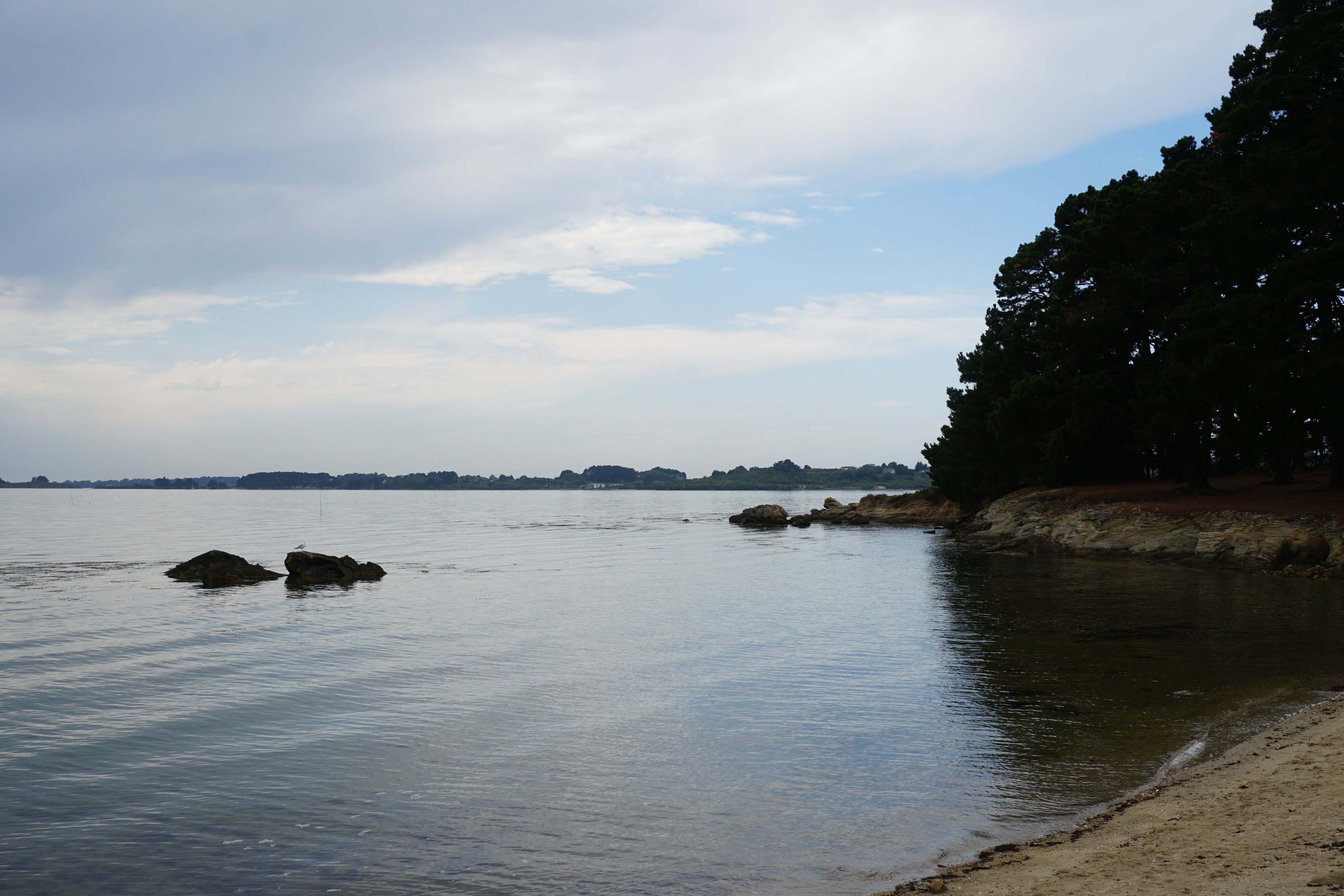 รูปถ่าย ฝรั่งเศส(France) เกาะโอมวน(Ile-aux-Moines) 2016-08 33