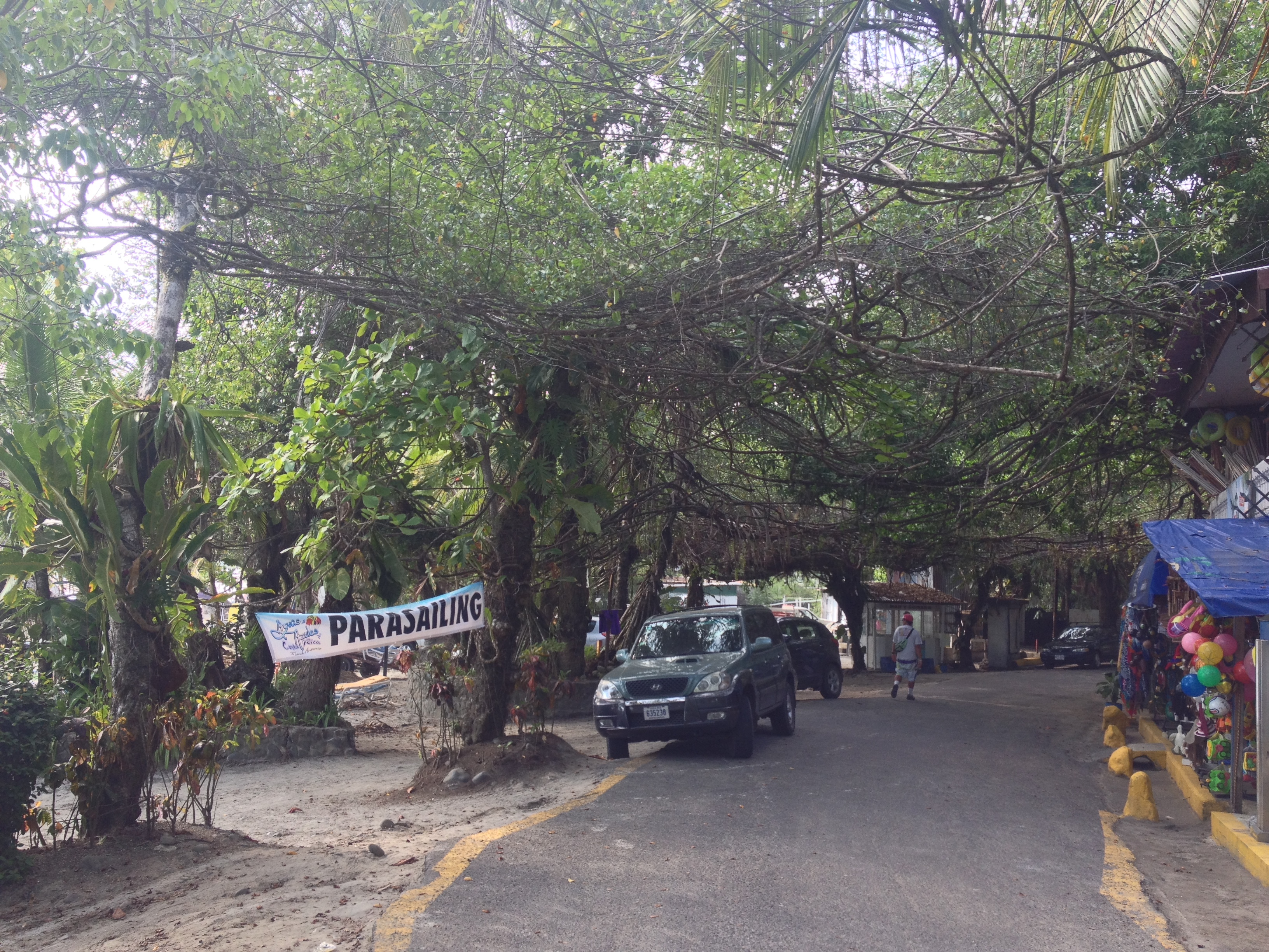 รูปถ่าย คอสตาริกา(Costa Rica) มานวยล์อันโตนีโอ(Manuel Antonio) 2015-03 254