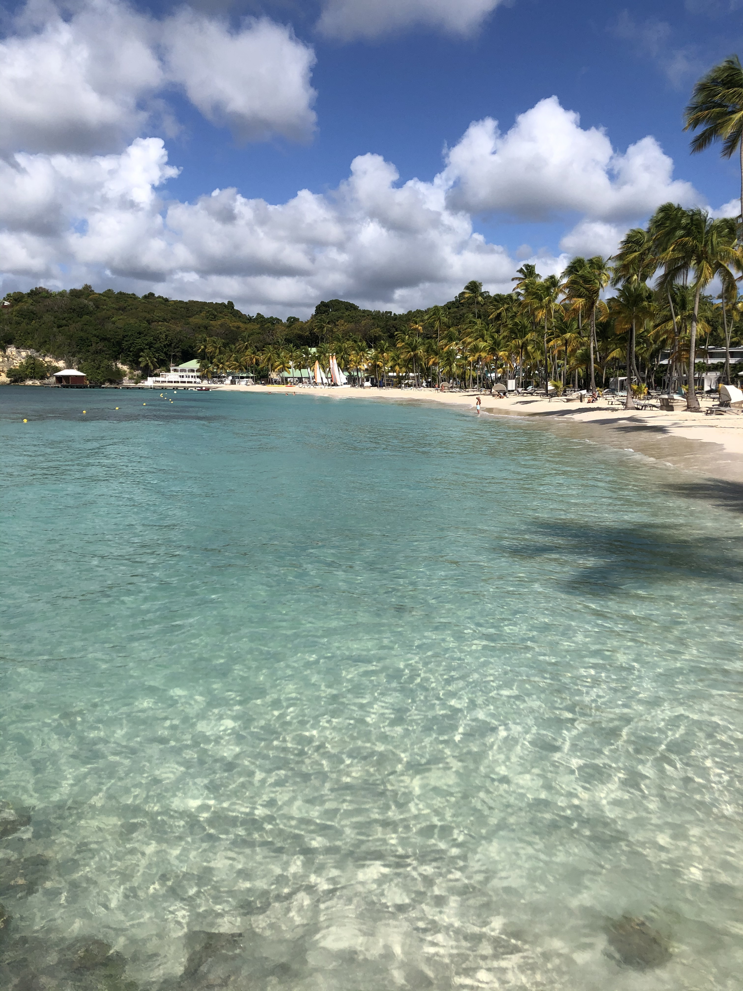 รูปถ่าย กวาเดอลูป(Guadeloupe) หาดลาการาแวล(La Caravelle Beach) 2021-02 3