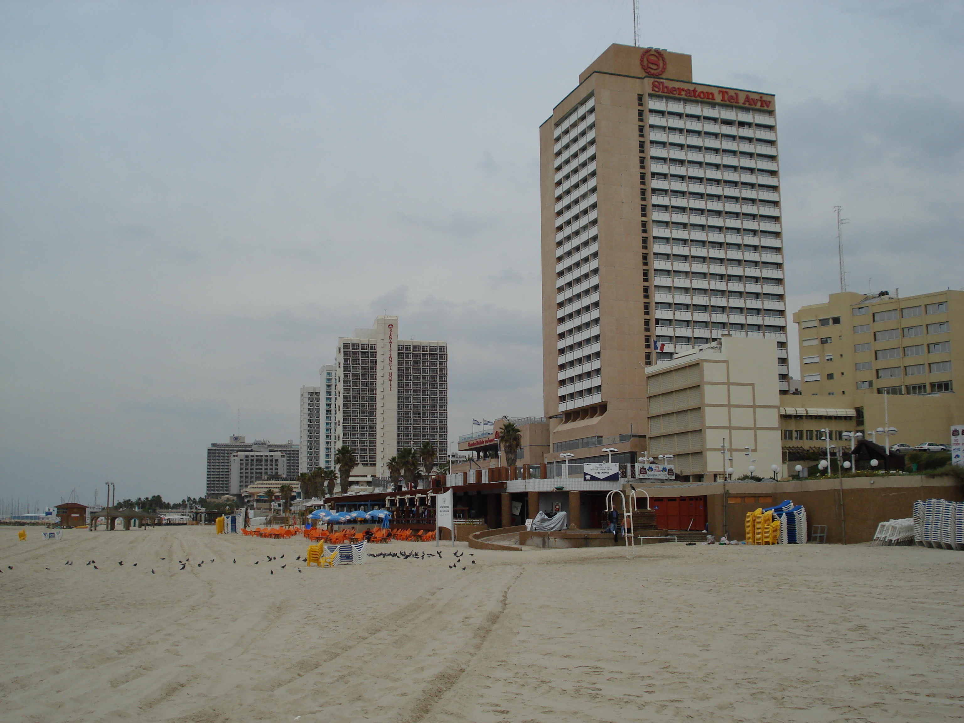 รูปถ่าย อิสราเอล(Israel) เทลอาวีฟ(Tel Aviv) ชายหาดเทลอาวีฟ(Tel Aviv Sea Shore) 2006-12 49