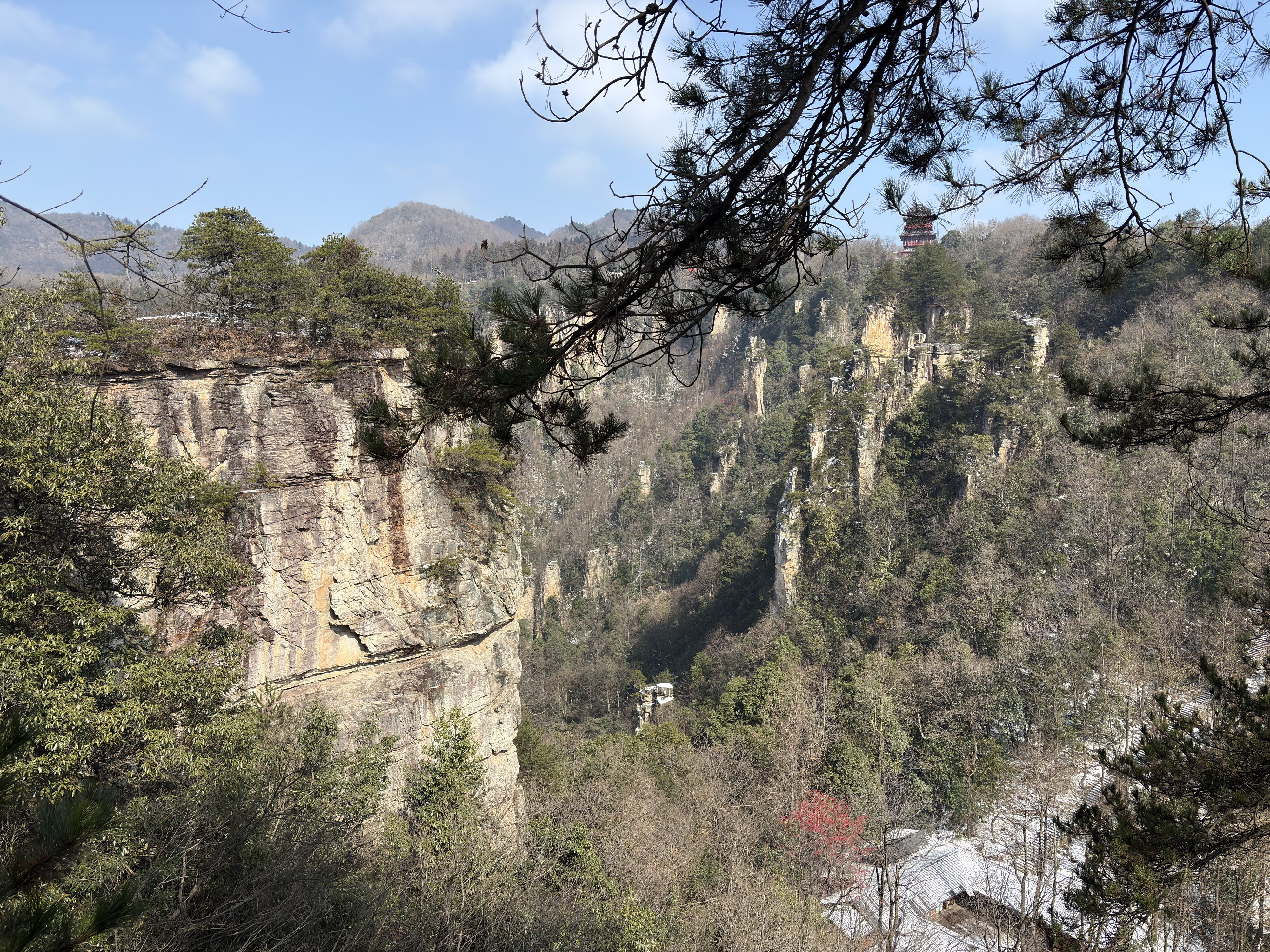 รูปถ่าย จีน(China) จางเจียเจี้ย(Zhangjiajie) ภูเขาเทียนจื่อ(Tianzi Mountain) 2026-01 222