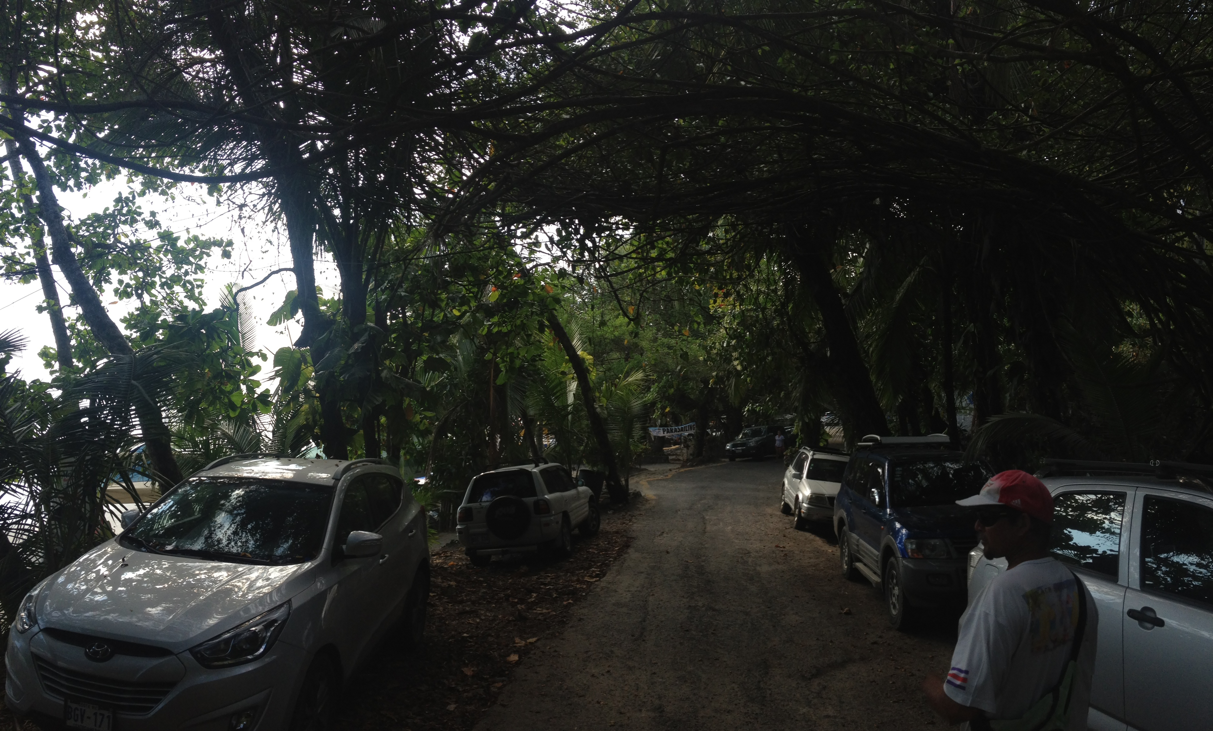 รูปถ่าย คอสตาริกา(Costa Rica) มานวยล์อันโตนีโอ(Manuel Antonio) 2015-03 189