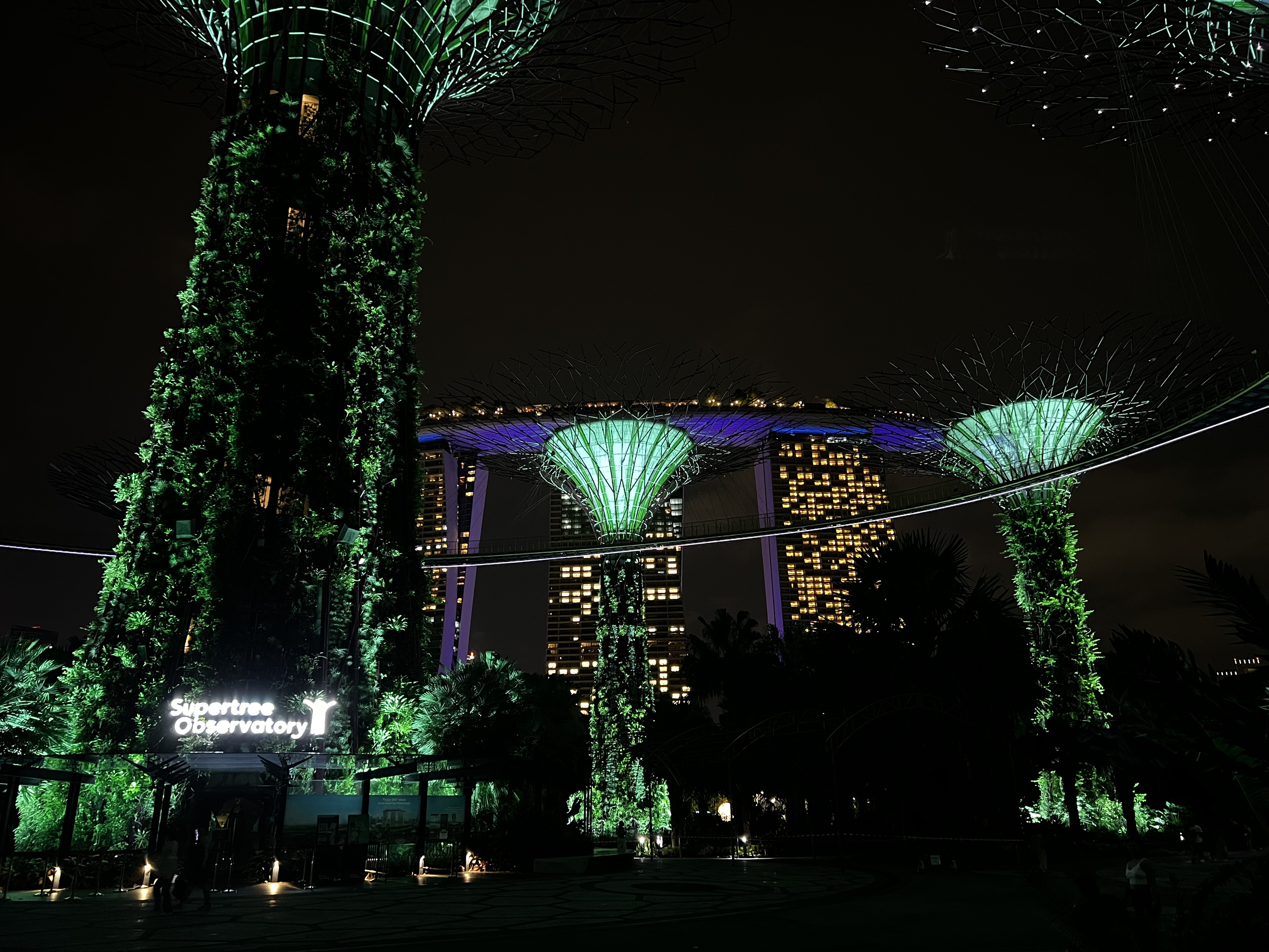 รูปถ่าย สิงคโปร์(Singapore) การ์เดนส์บายเดอะเบย์(Garden by the bay) 2023-01 10