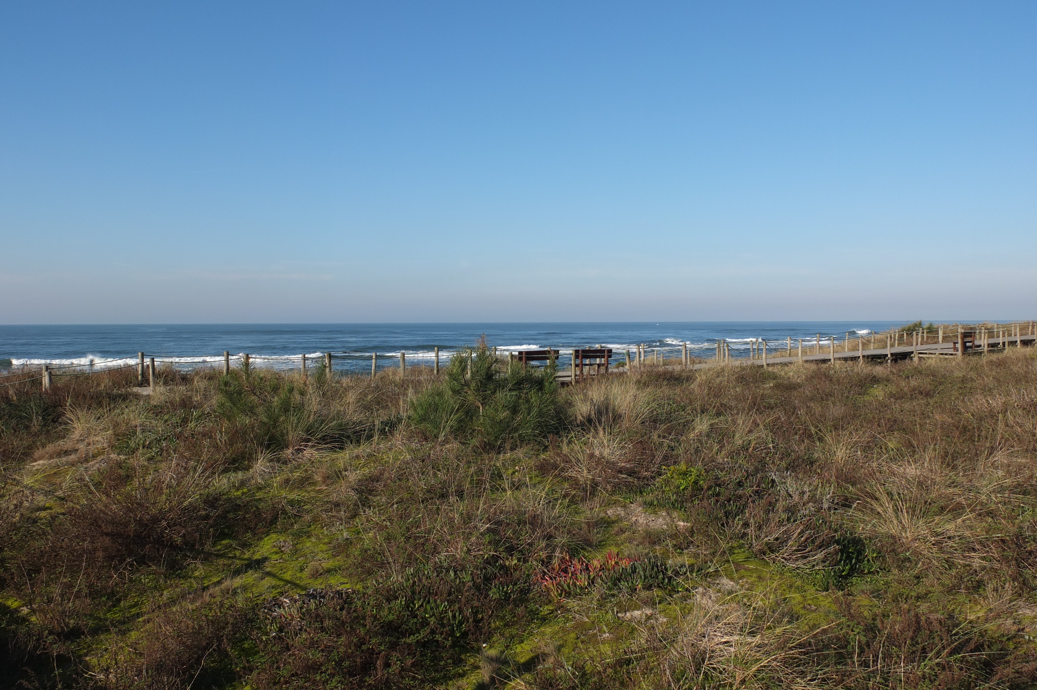 รูปถ่าย โปรตุเกส(Portugal) วีอานาดูกัชเตลู(Viana do Castelo) 2013-01 61