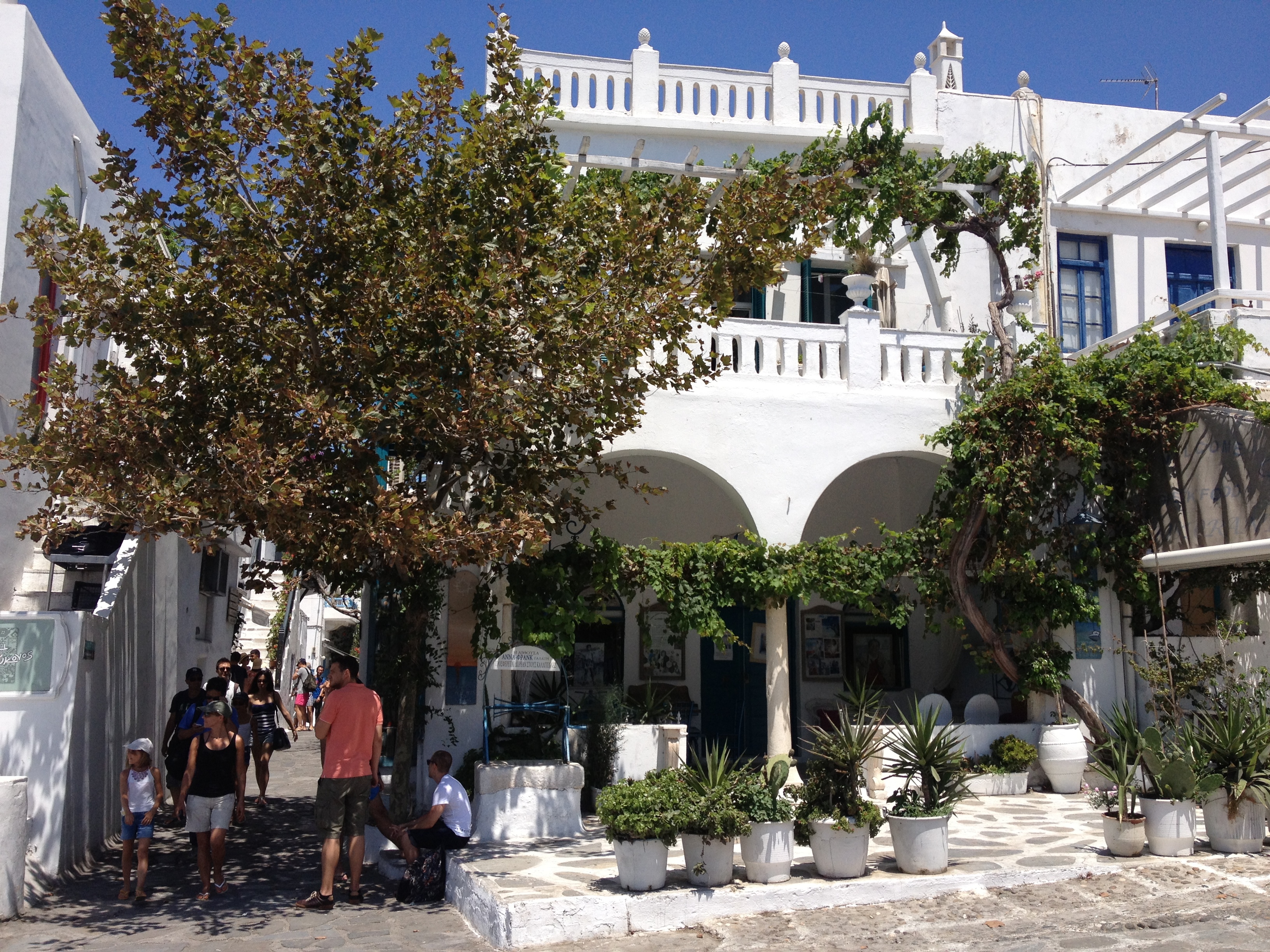 รูปถ่าย กรีก(Greece) เกาะมิโคนอส(Mykonos) 2014-07 226