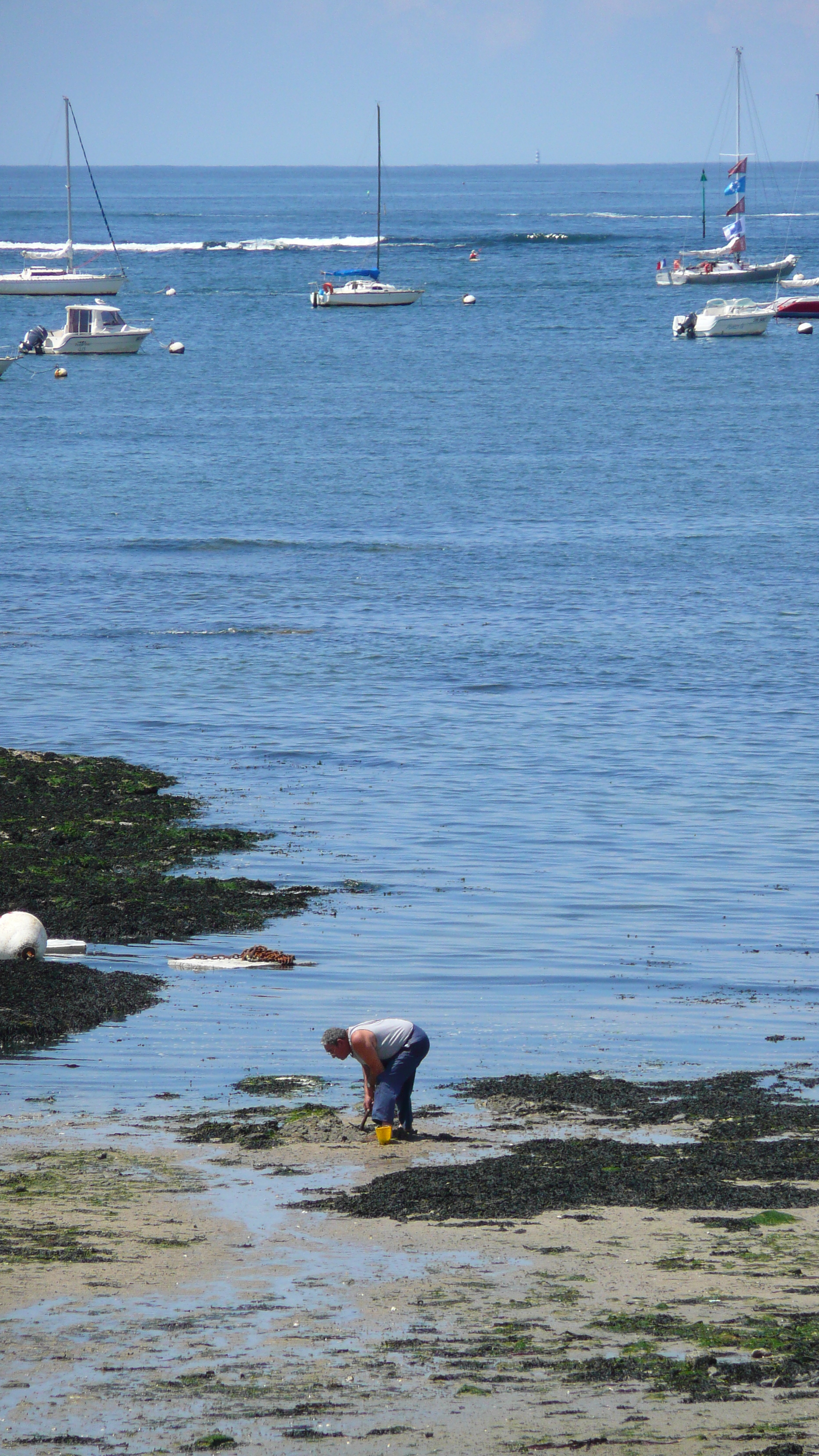 รูปถ่าย ฝรั่งเศส(France) เพรฟาย(Prefailles) แหลมแซ็ง-ฌีลดา(La pointe Saint Gildas) 2007-08 66