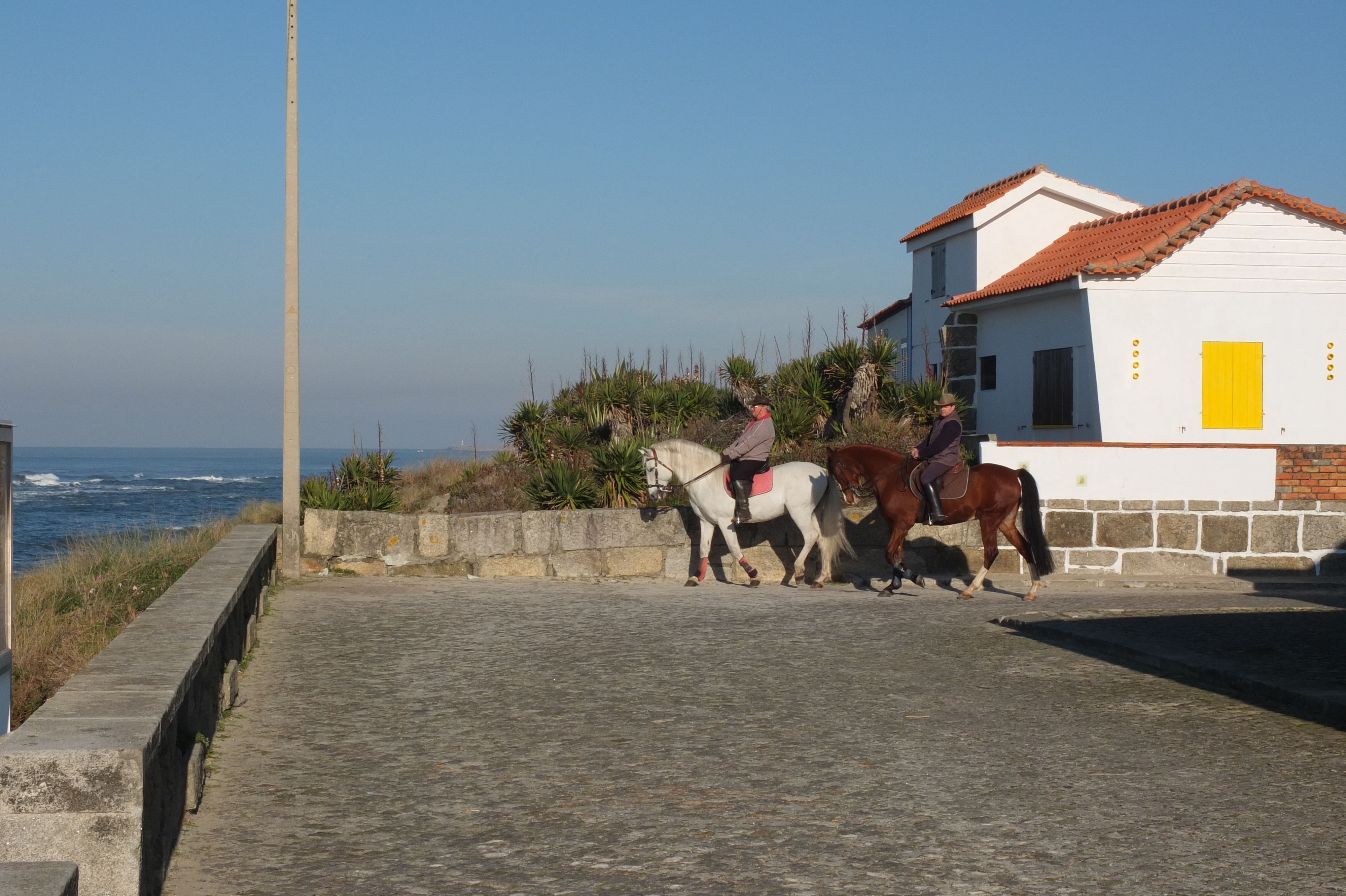 รูปถ่าย โปรตุเกส(Portugal) วีอานาดูกัชเตลู(Viana do Castelo) 2013-01 74