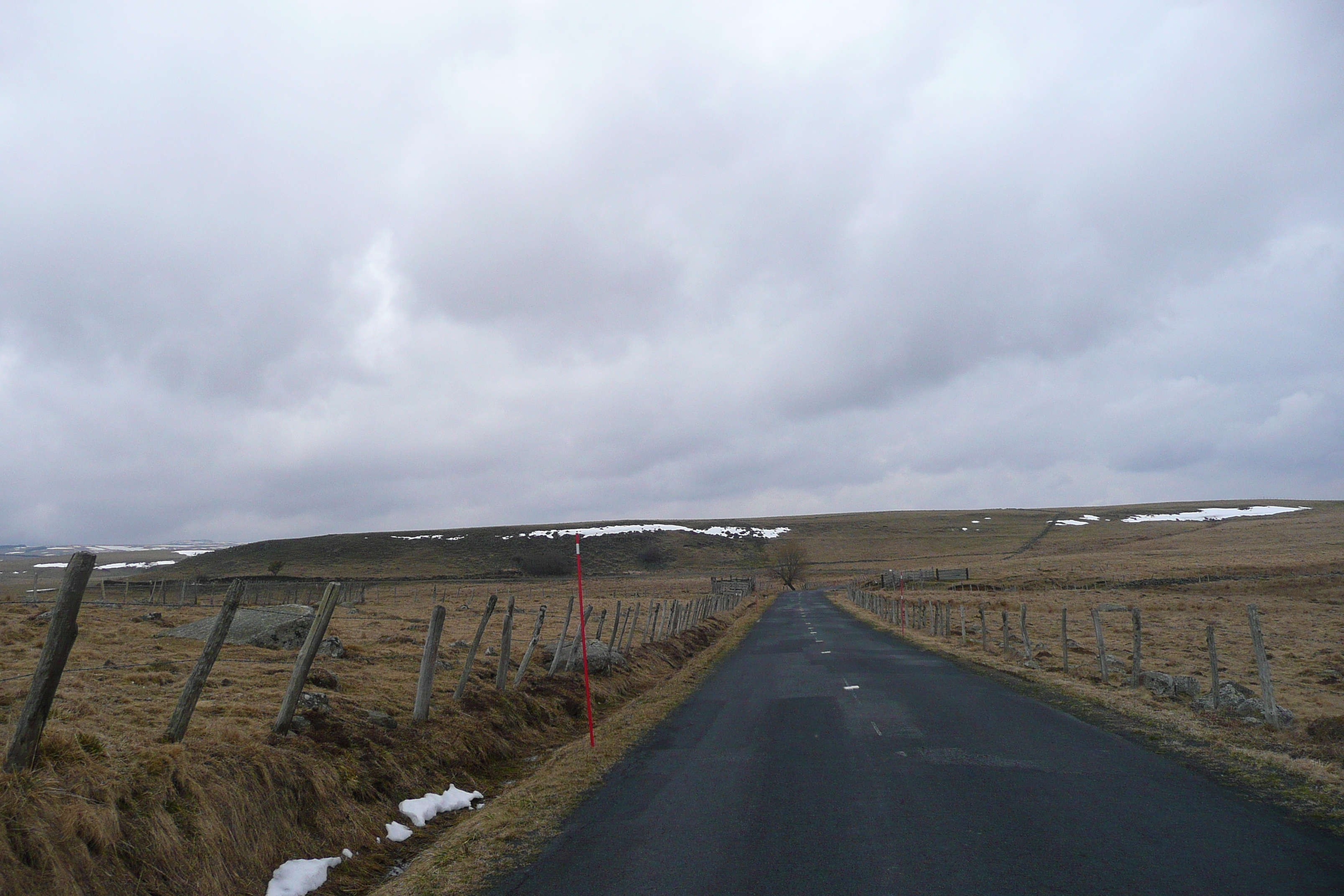 รูปถ่าย ฝรั่งเศส(France) โอบรัก(L'Aubrac) 2008-04 91
