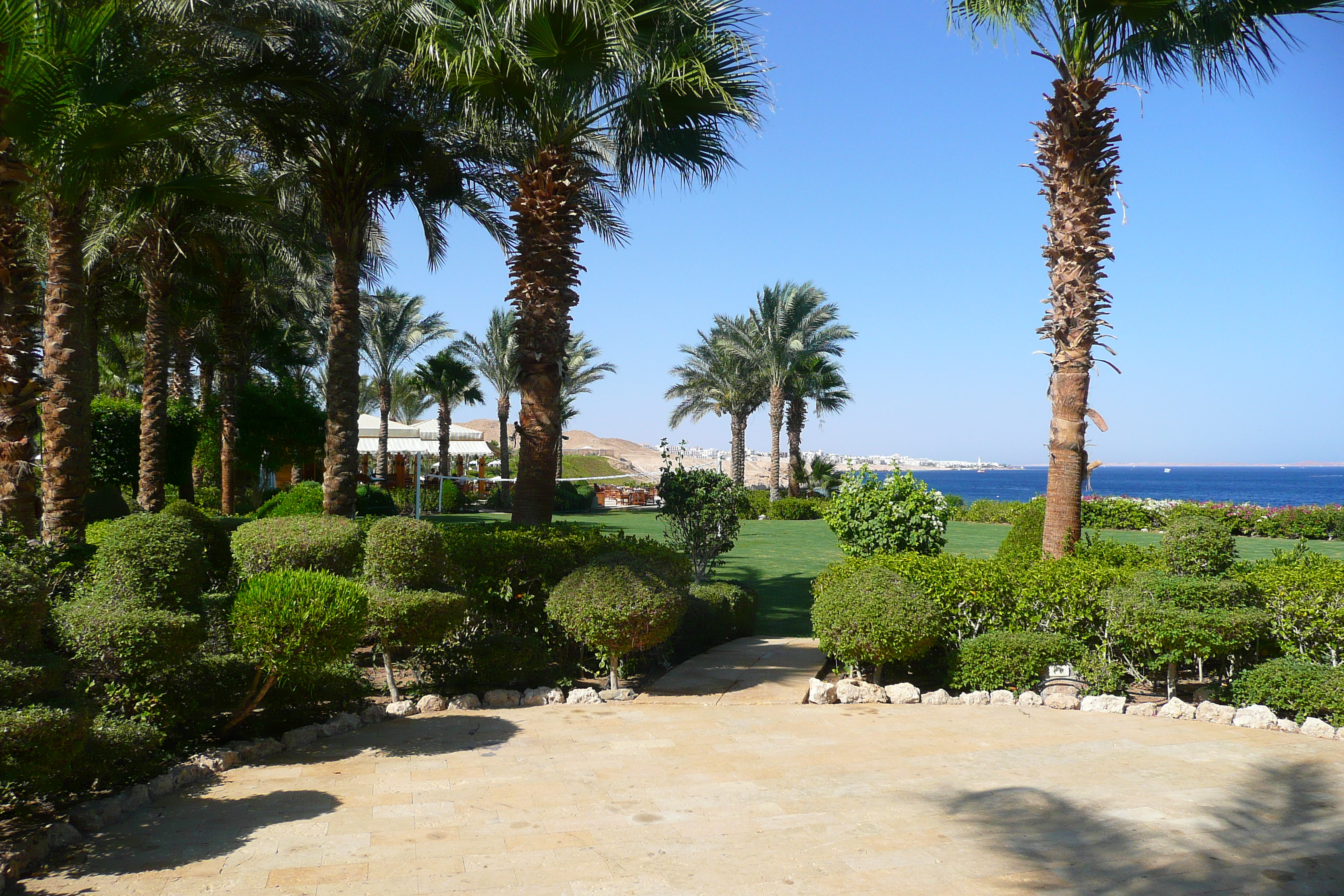 รูปถ่าย อียิปต์(Egypt) ชาร์มเอลชีค(Sharm el Sheikh) โรงแรมโฟร์ซีซันส์(Four Seasons Hotel) หาดโฟร์ซีซันส์(Four Seasons Beach) 2008-06 29