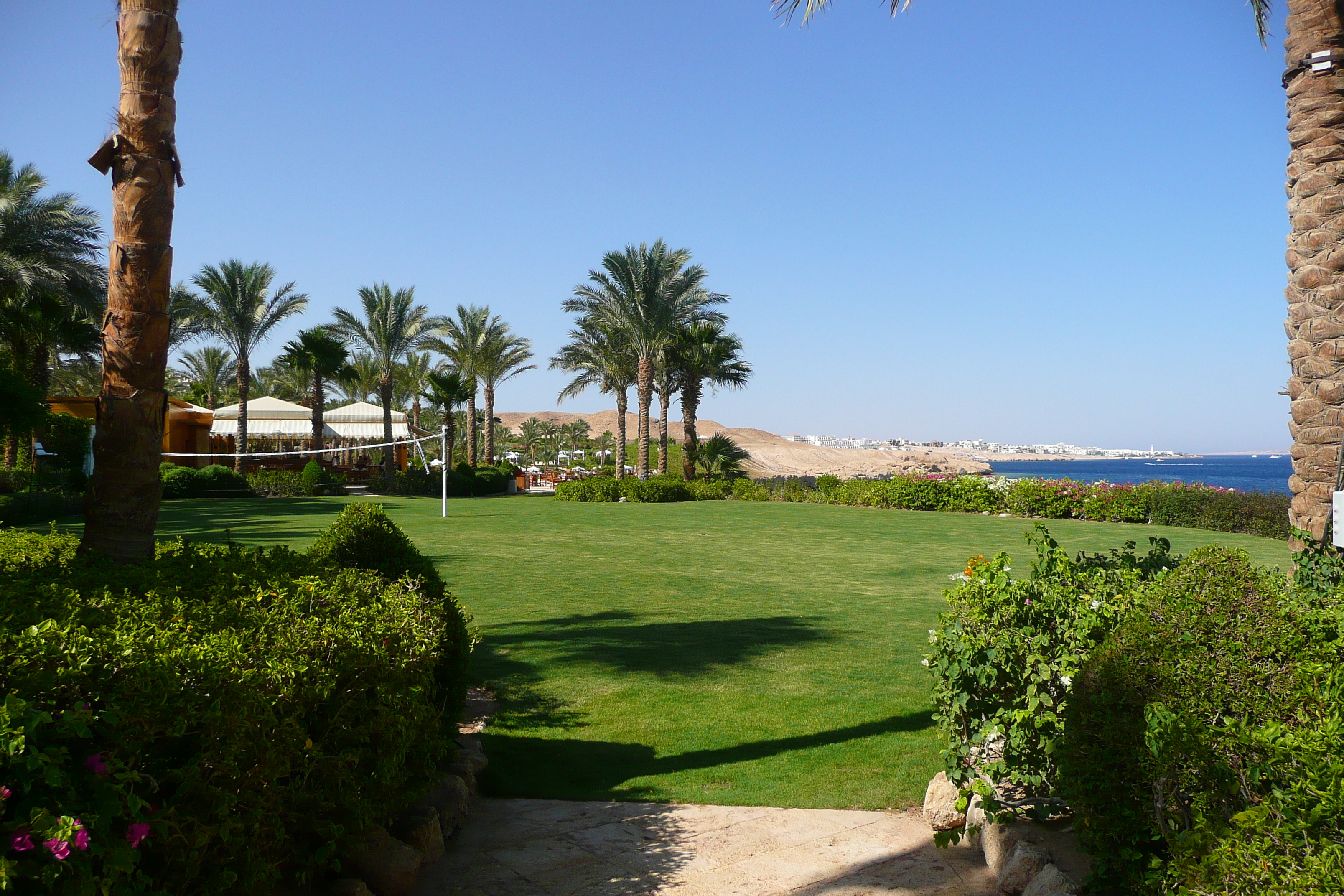 รูปถ่าย อียิปต์(Egypt) ชาร์มเอลชีค(Sharm el Sheikh) โรงแรมโฟร์ซีซันส์(Four Seasons Hotel) หาดโฟร์ซีซันส์(Four Seasons Beach) 2008-06 28