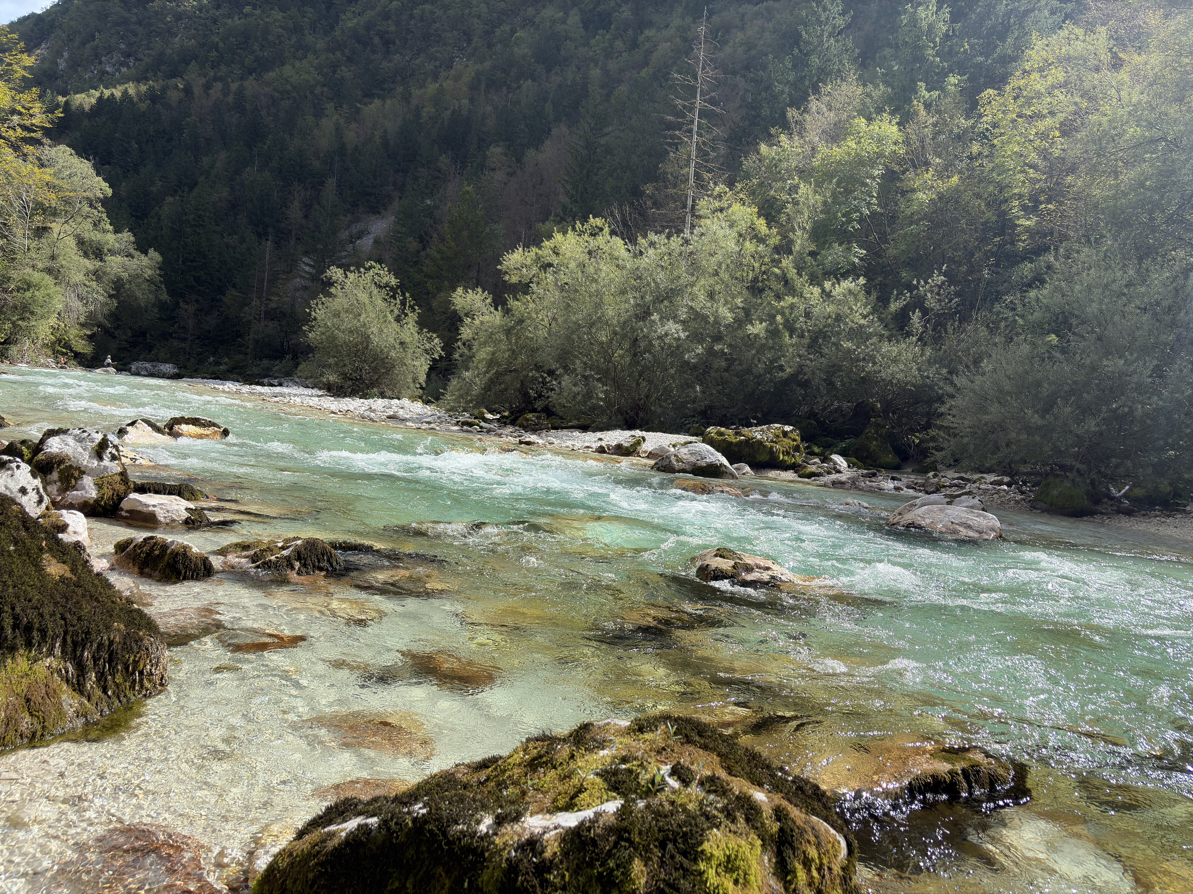 รูปถ่าย สโลวีเนีย(Slovenia) แม่น้ำซอชา(Soca River) 2025-09 250