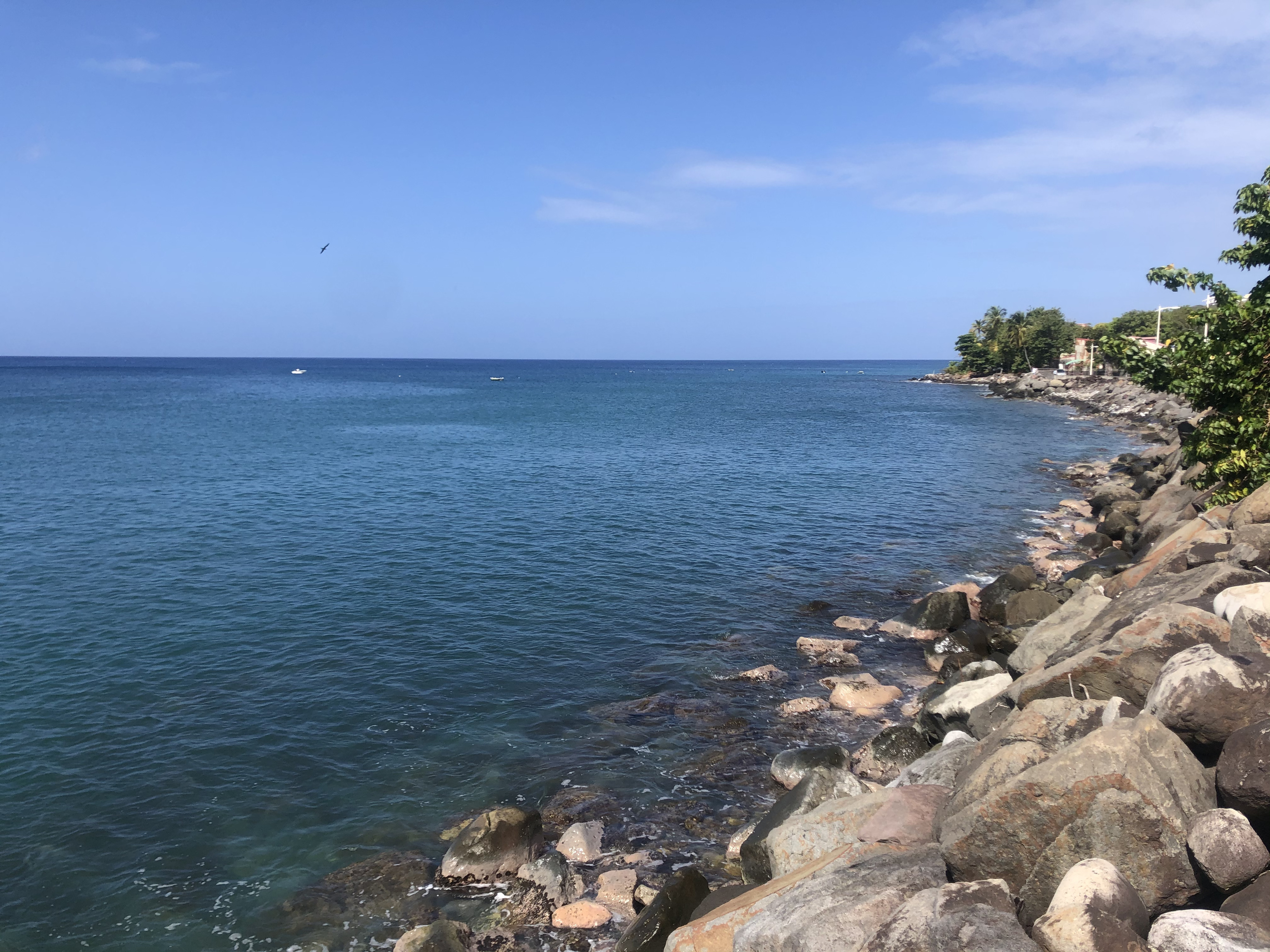 รูปถ่าย กวาเดอลูป(Guadeloupe) แหลมแบล็กพอยต์(Black Point) 2021-02 18