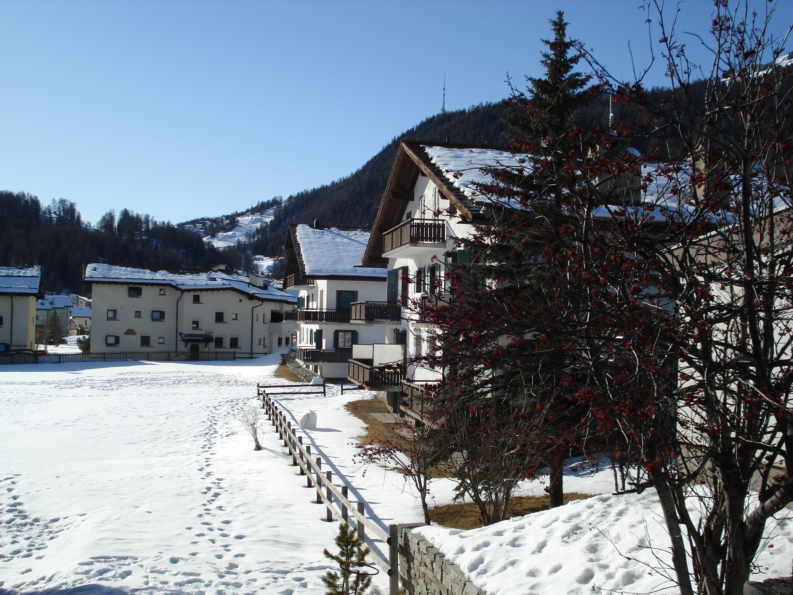 รูปถ่าย สวิสเซอร์แลนด์(Switzerland) เซเลรีน่า(Celerina) 2007-01 45