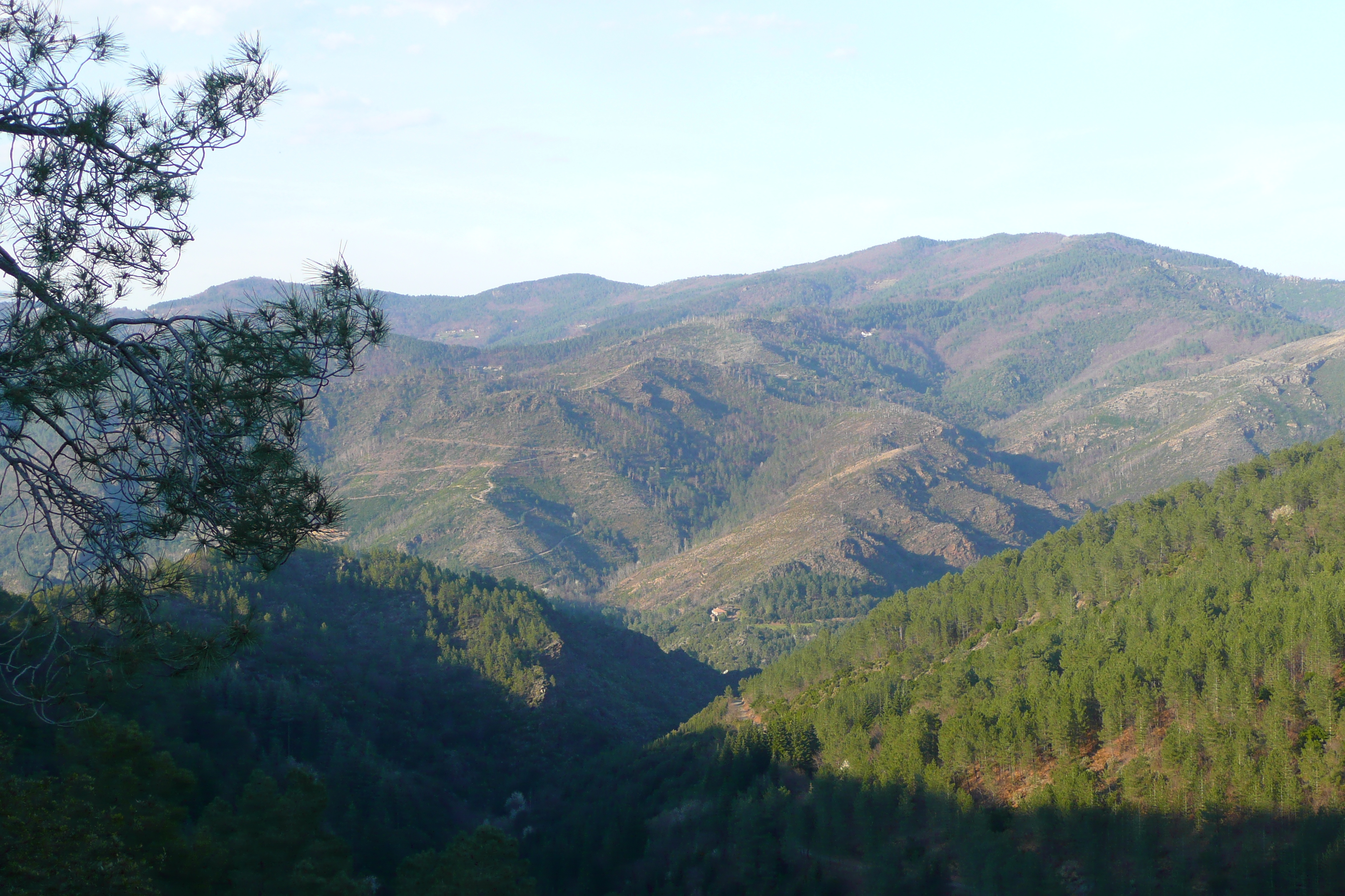 รูปถ่าย ฝรั่งเศส(France) เทือกเขาเซแวน(Cevennes Mountains) 2008-04 3