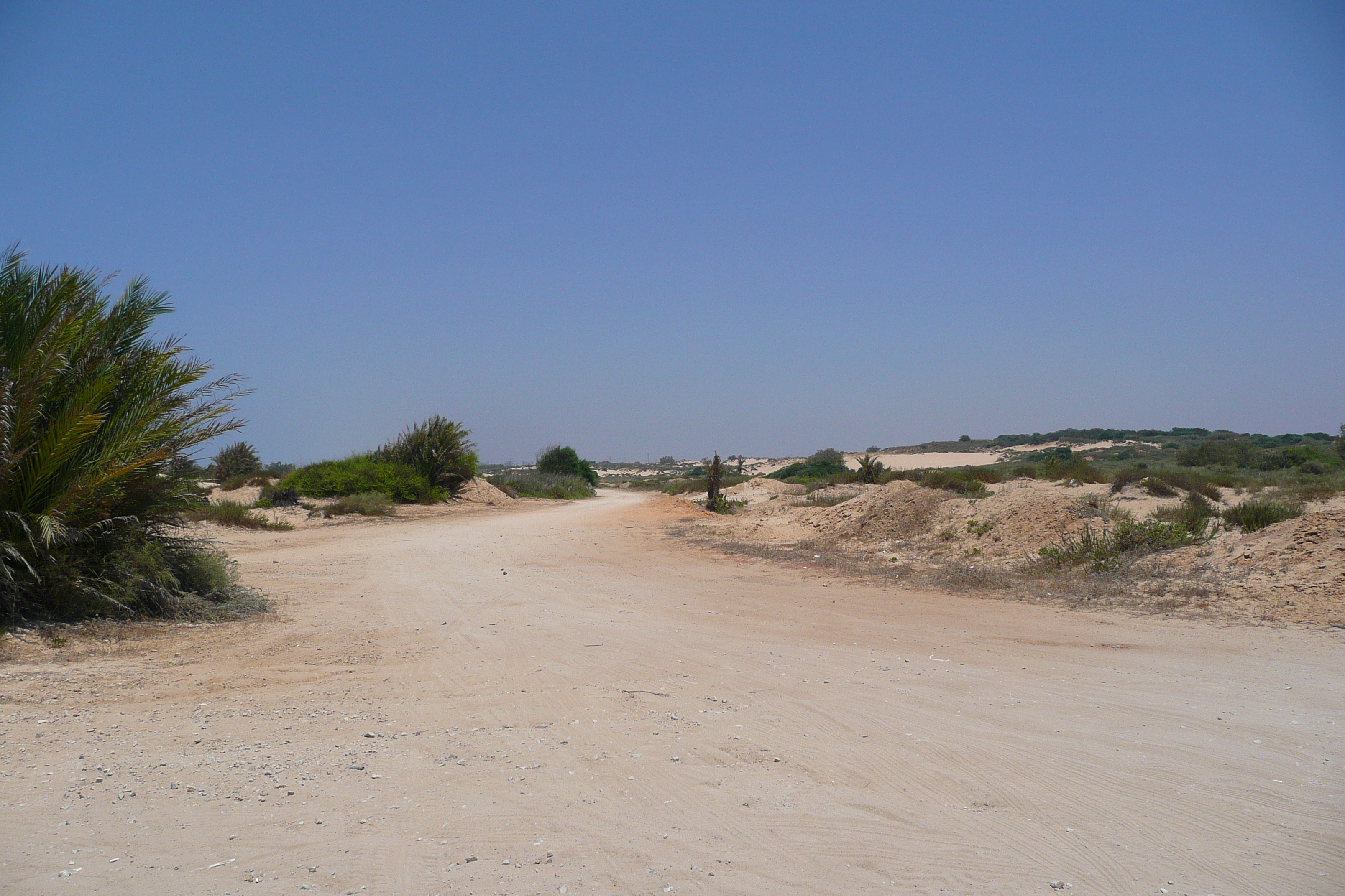 รูปถ่าย อิสราเอล(Israel) นิทซาน(Nitzan) 2007-06 85