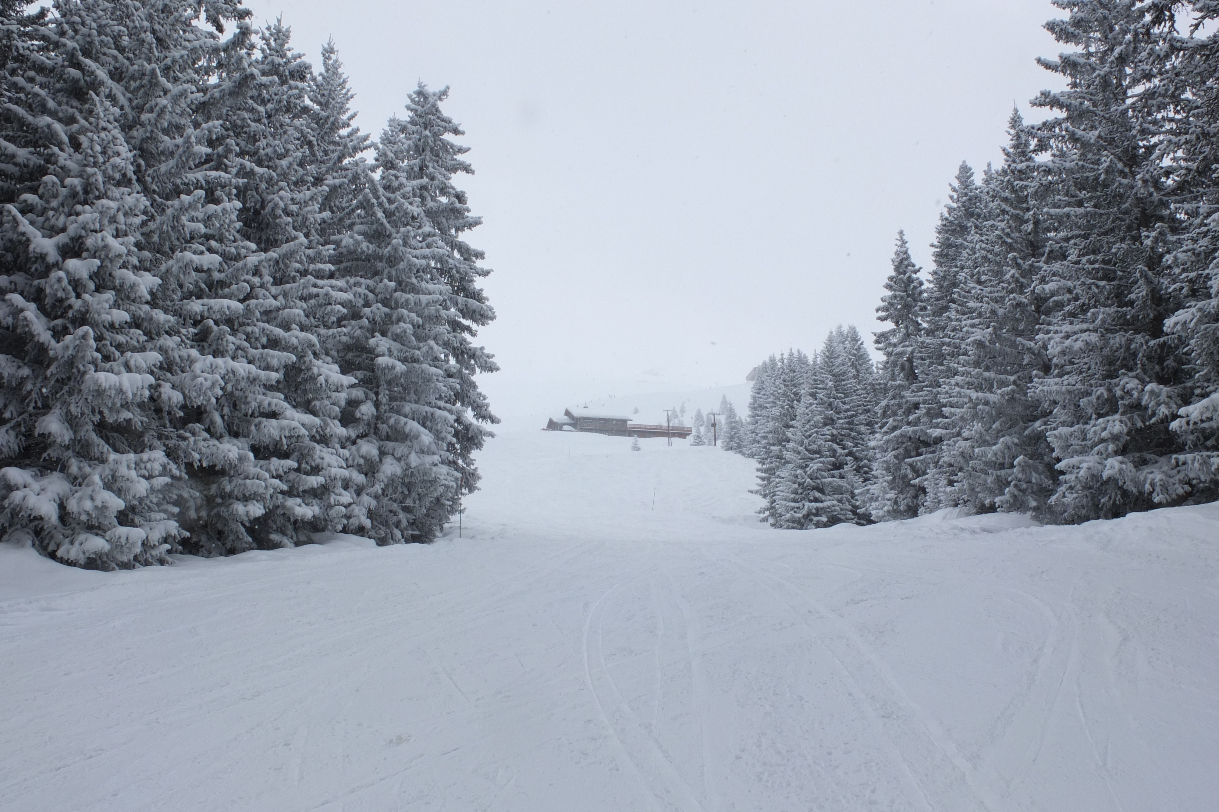 รูปถ่าย ฝรั่งเศส(France) เลทรัววาเล(Les 3 Vallees) 2013-03 38